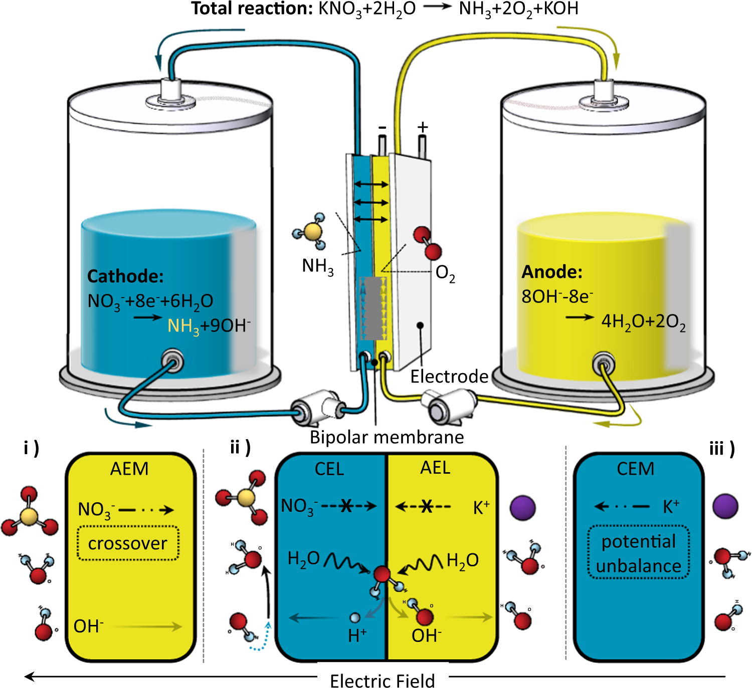 Continuous ammonia electrosynthesis using physically interlocked bipolar  membrane at 1000 mA cm−2 | Nature Communications