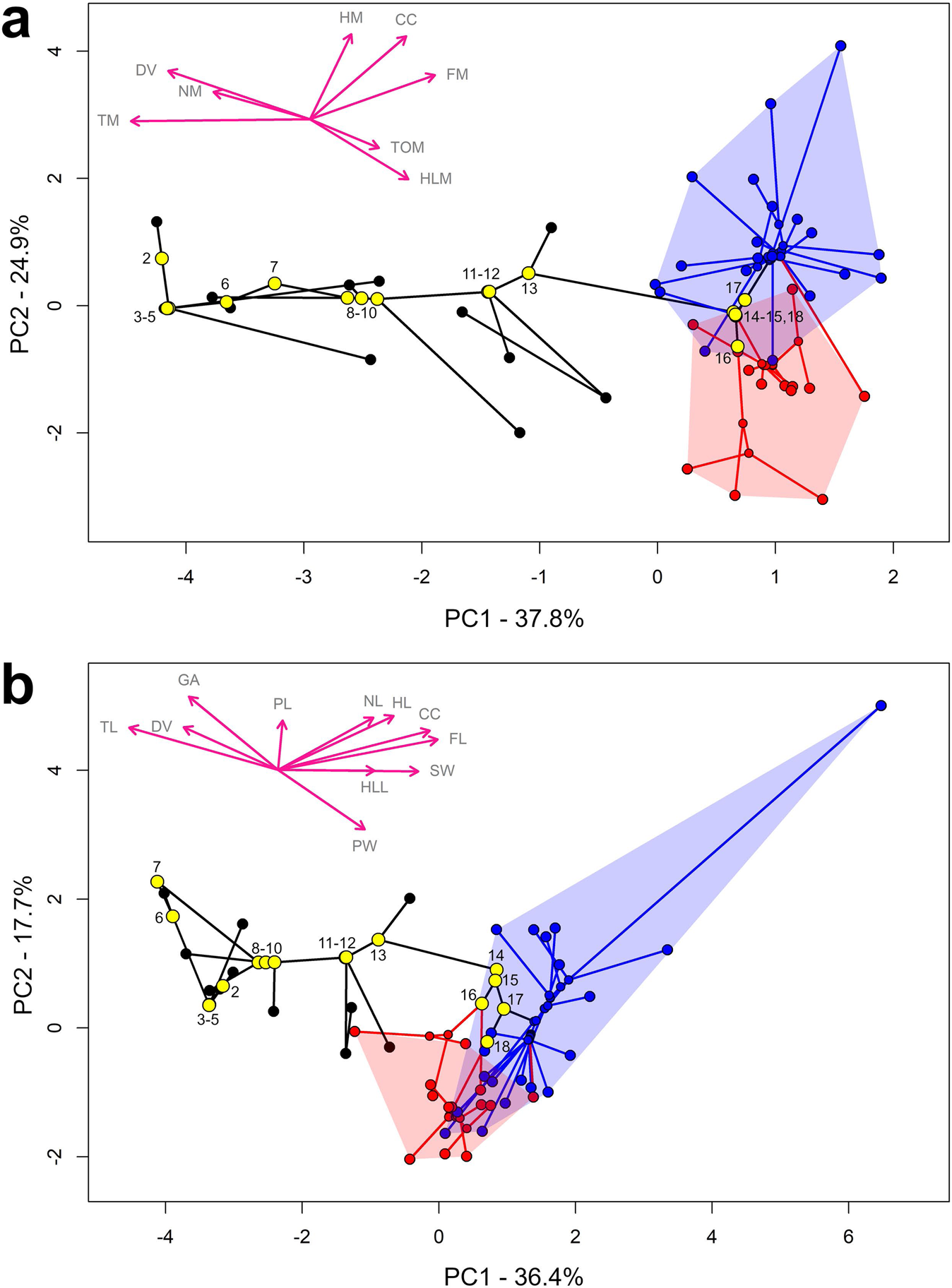 Fig. 4: Phylomorphospace plots of PCA analysis of body segment evolution.