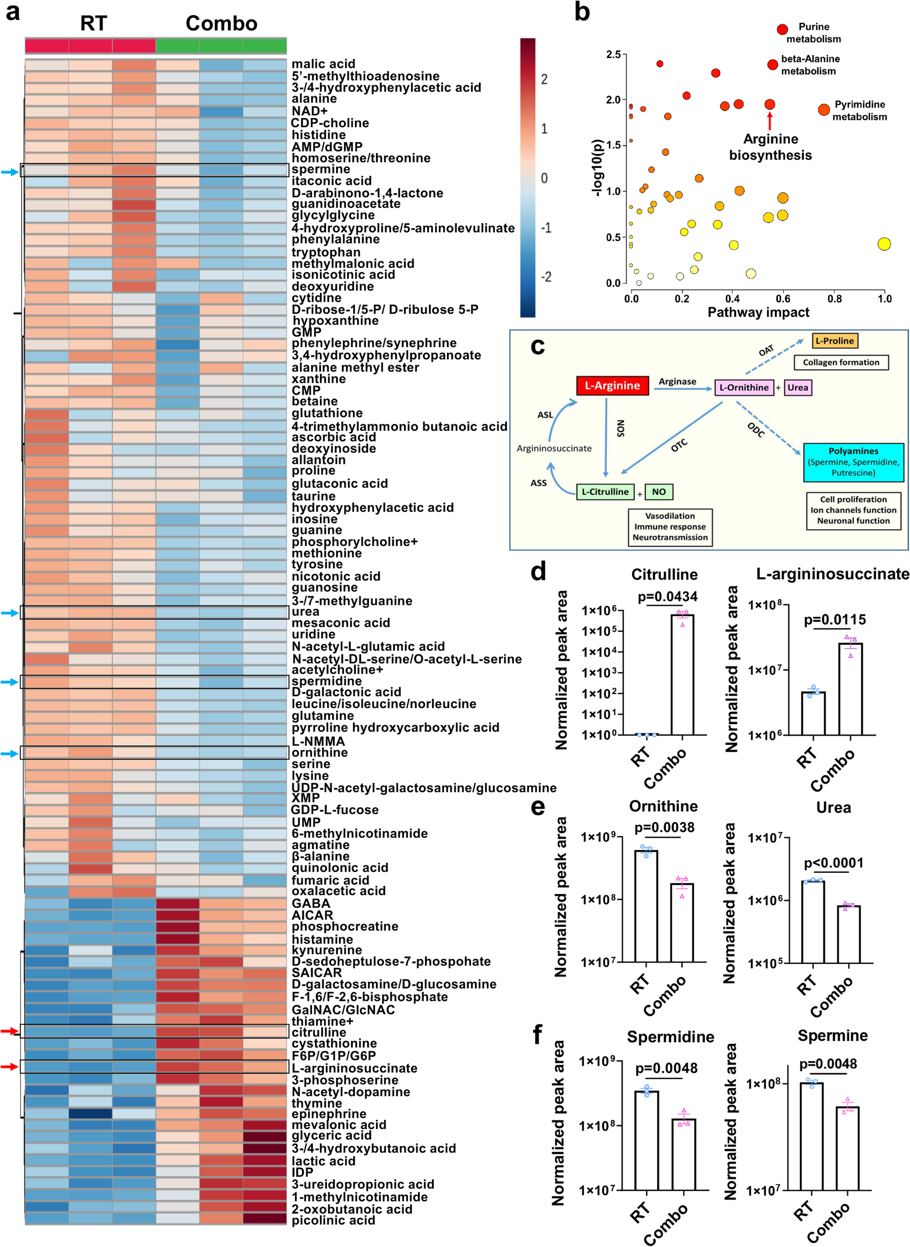 Fig. 4: B-LNP/diABZI treatment reprograms metabolic features of TAMC.
