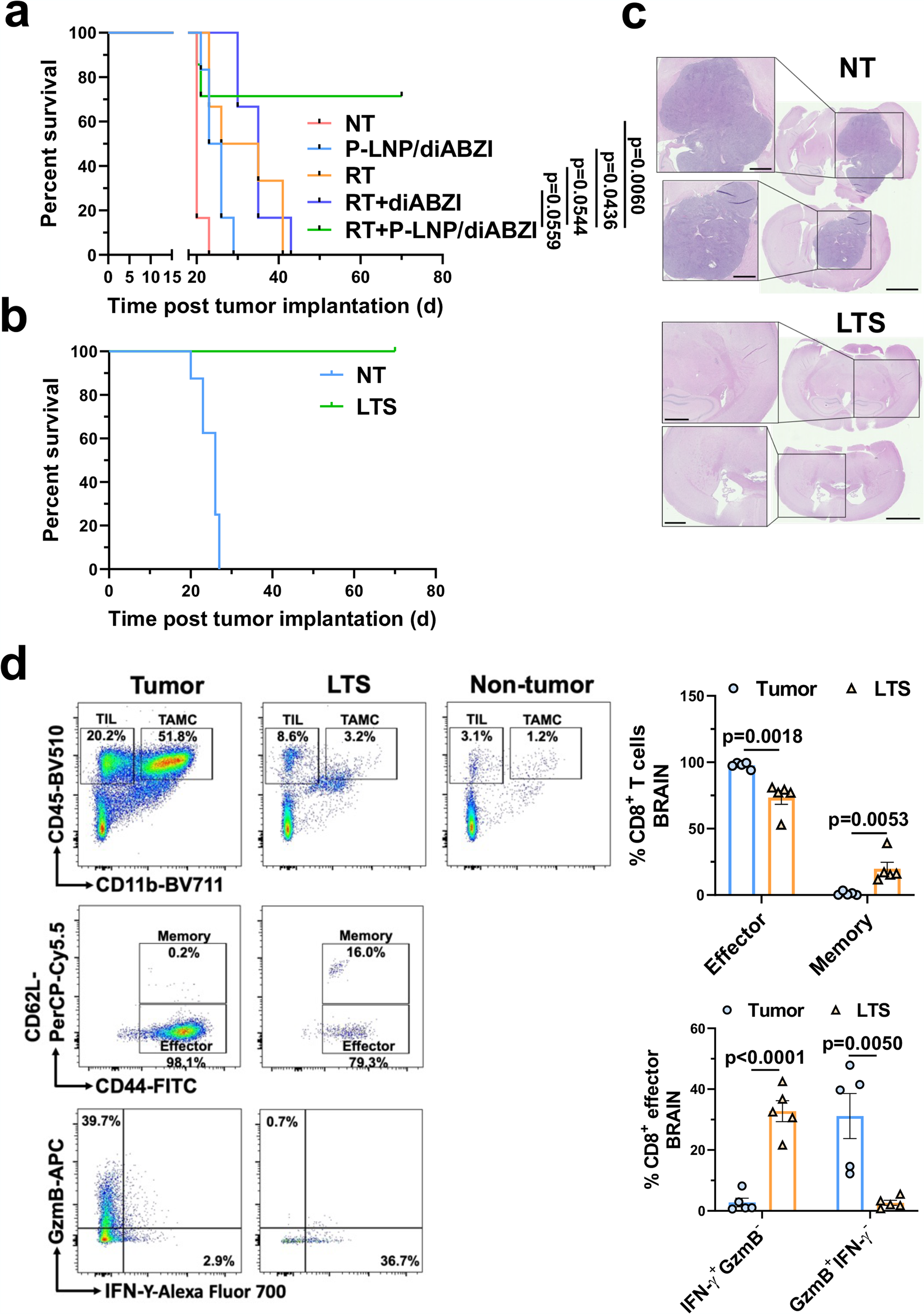 Fig. 9: Systemic nanoparticle delivery of diABZI potentiates the anti-glioma effects of radiotherapy.