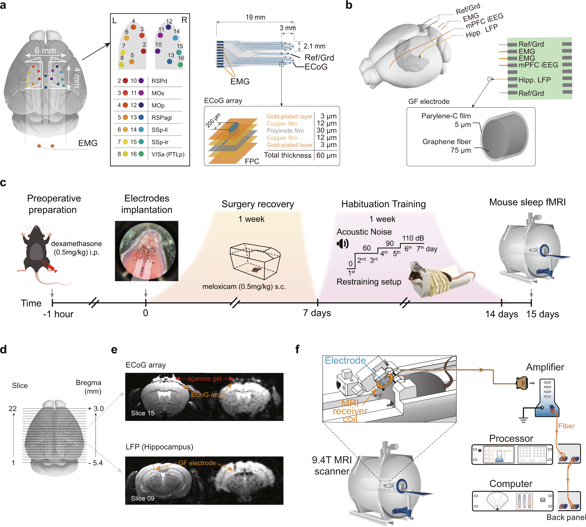 Sleep fMRI with simultaneous electrophysiology at 9.4 T in male mice |  Nature Communications