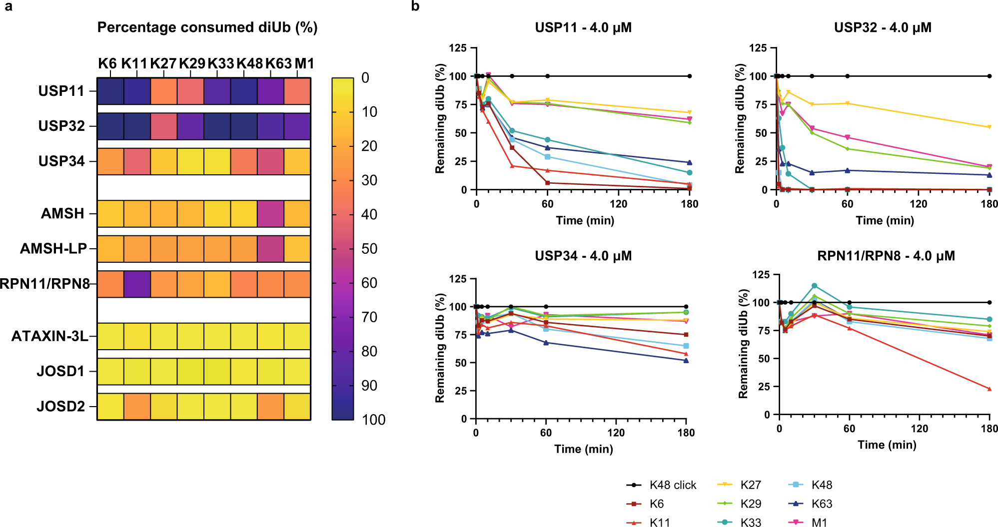 Fig. 6: Linkage specificity profiles of DUBs from different DUB families.