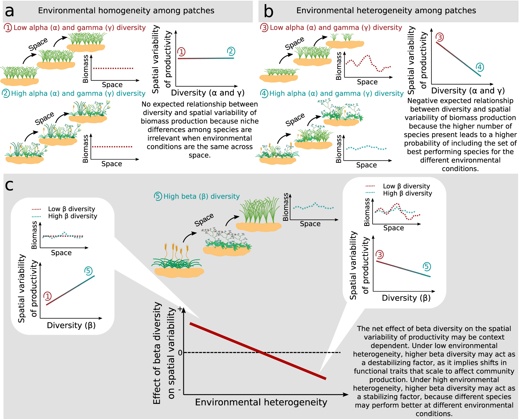 PDF) Weak Evidence for Determinants of Citation Frequency In Ecological  Articles