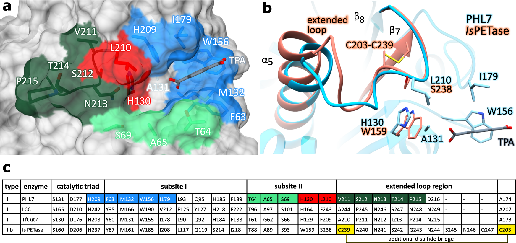 Fig. 1: Subsites I and II of polyester hydrolases.