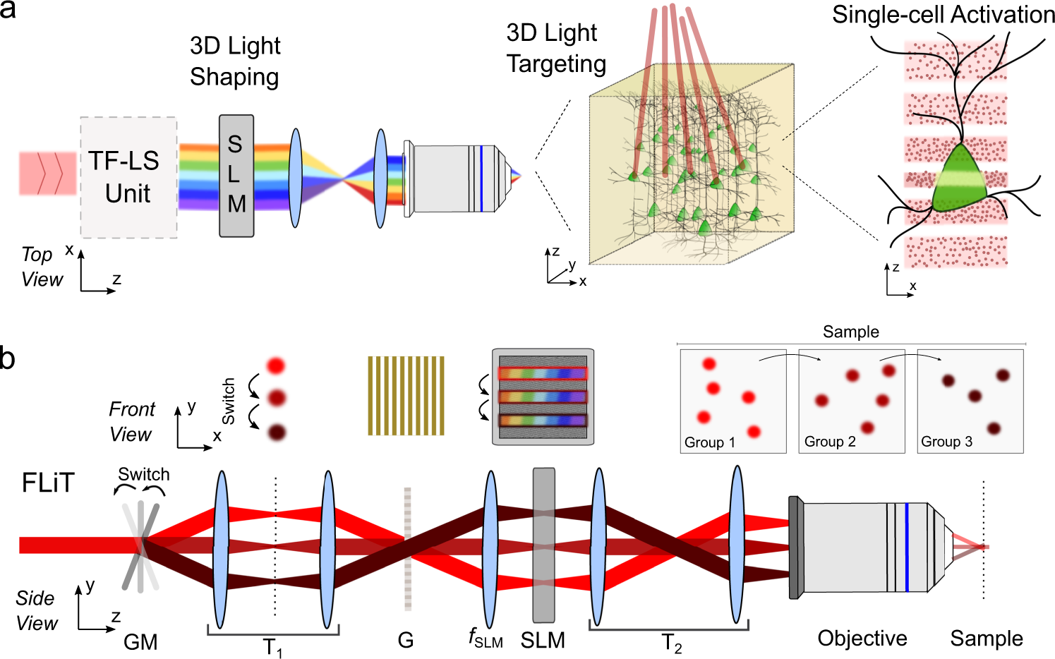 Ultrafast light targeting for high-throughput precise control of