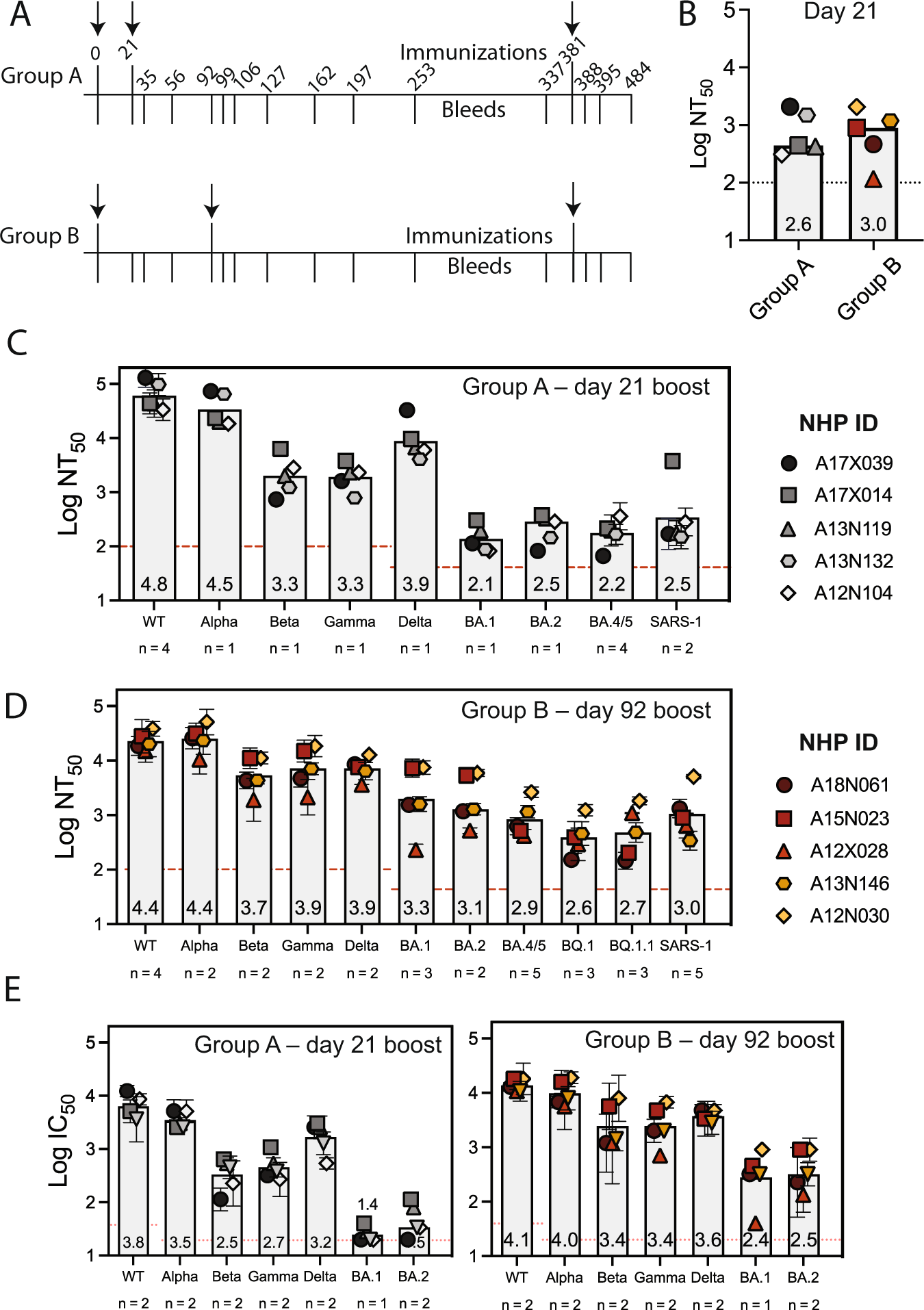 Fig. 3: DCFHP-alum immunized NHPs elicit cross-reactive neutralizing responses.