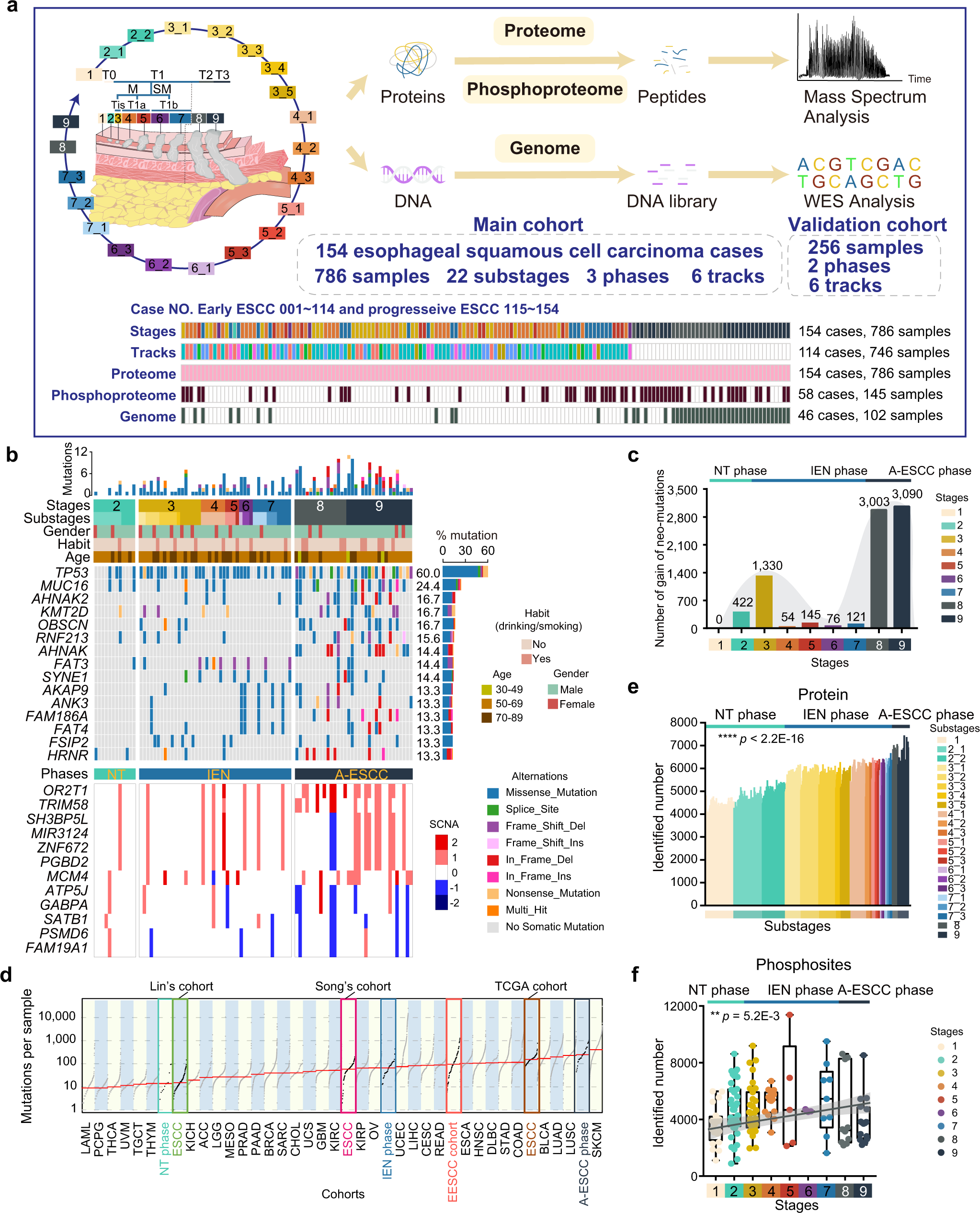 Integrative proteogenomic characterization of early esophageal cancer |  Nature Communications