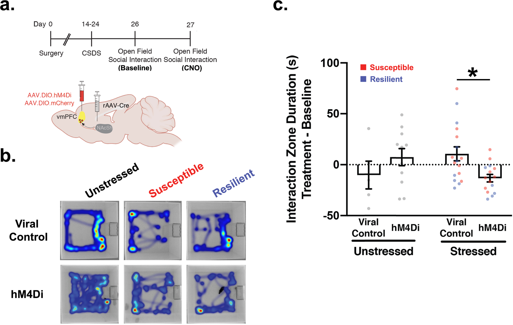 Fig. 4: vmPFC-NAcSh activity supports social approach behavior following social defeat.