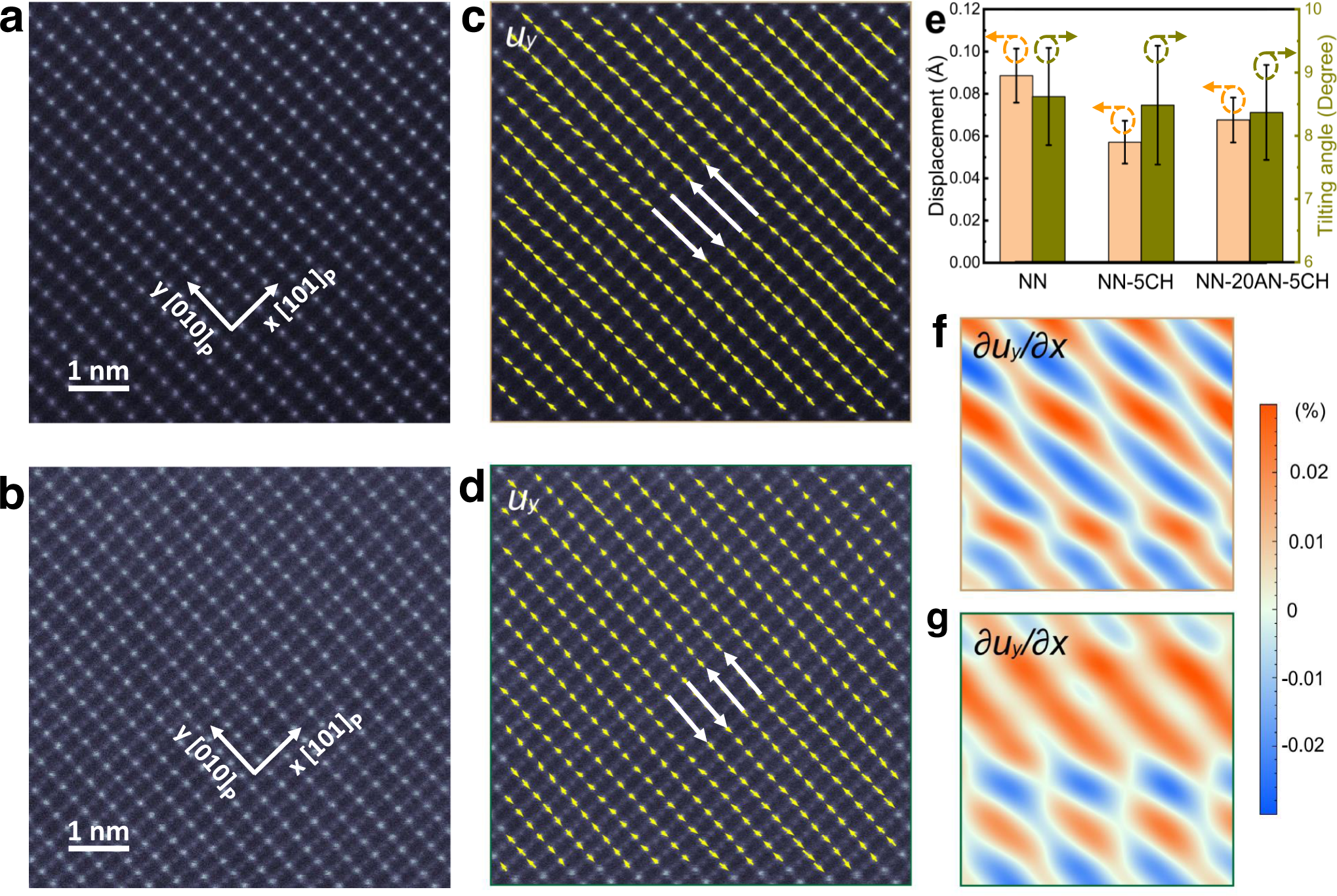 Fig. 5: Polarization field mapping.