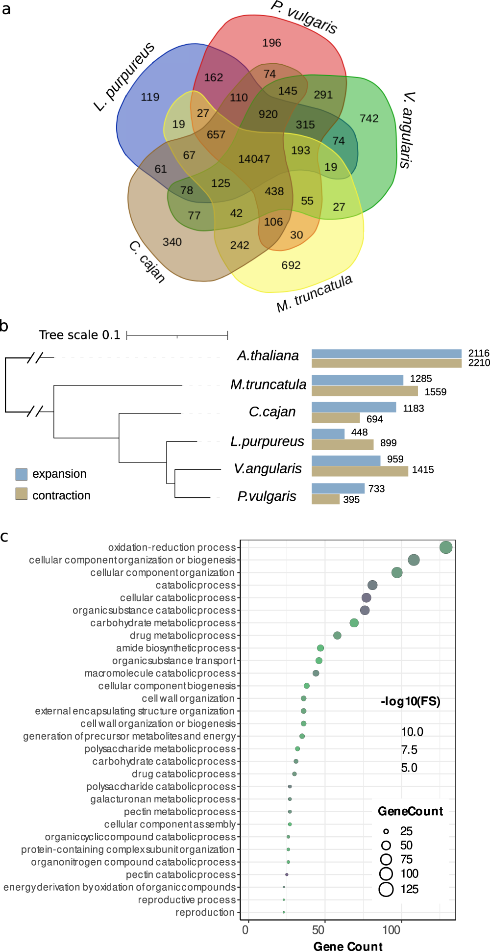 Fig. 2: Gene families in lablab.