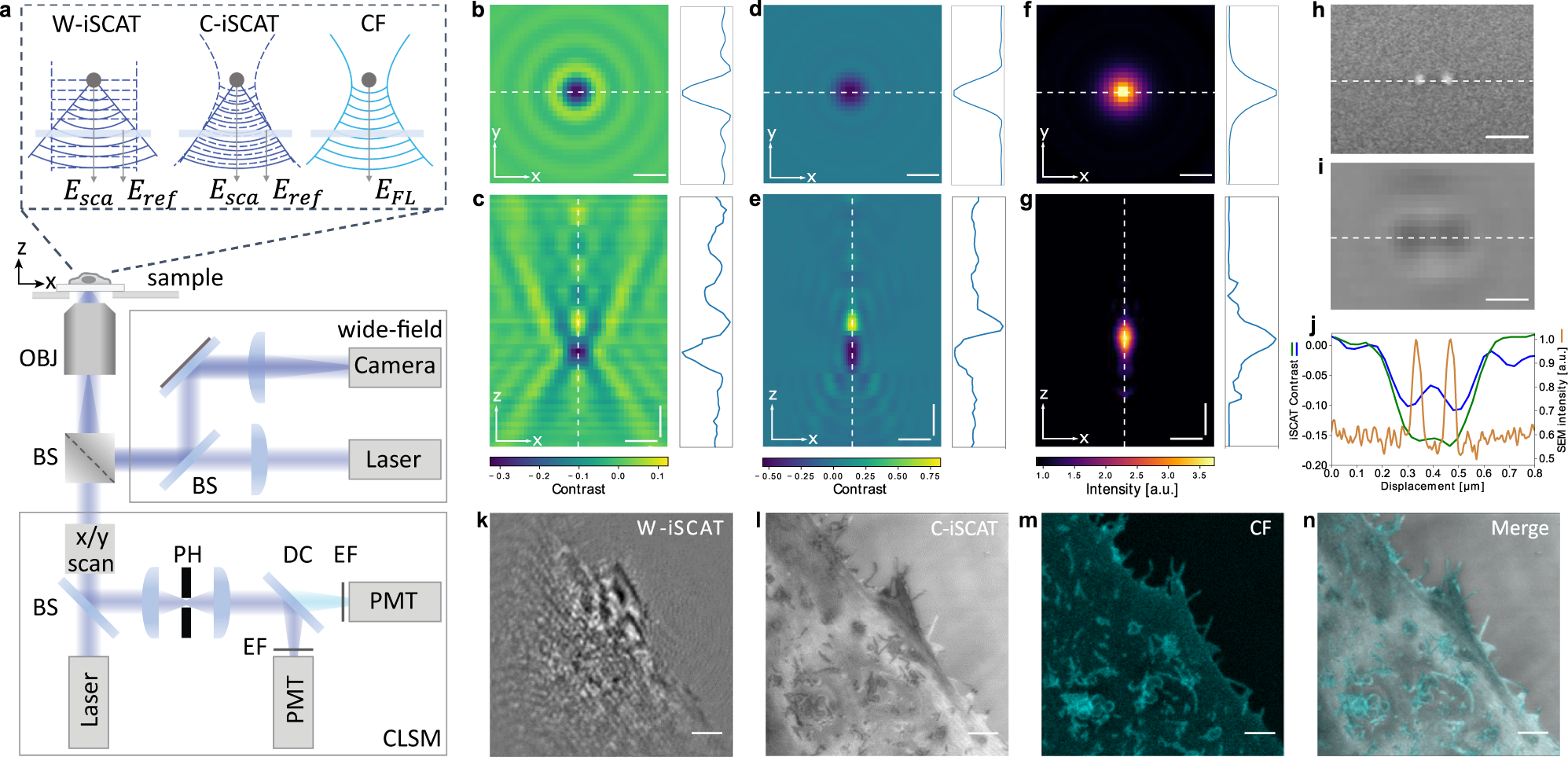 https://media.springernature.com/full/springer-static/image/art%3A10.1038%2Fs41467-023-37497-7/MediaObjects/41467_2023_37497_Fig1_HTML.png