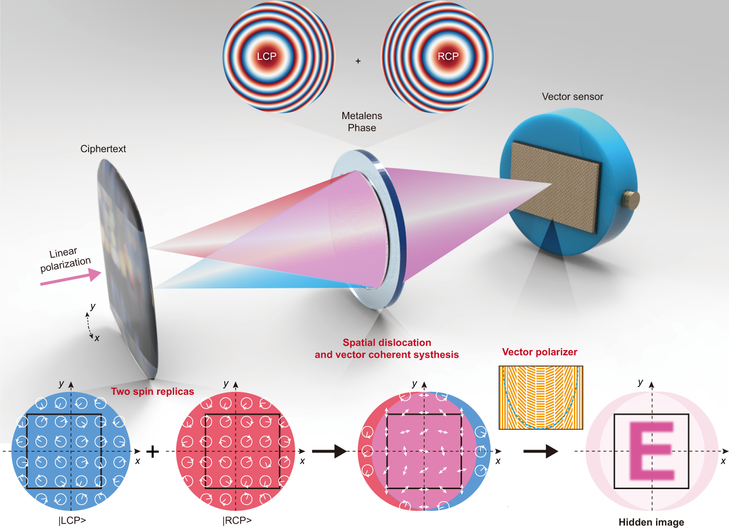 Meta-optics empowered vector visual cryptography for high security 