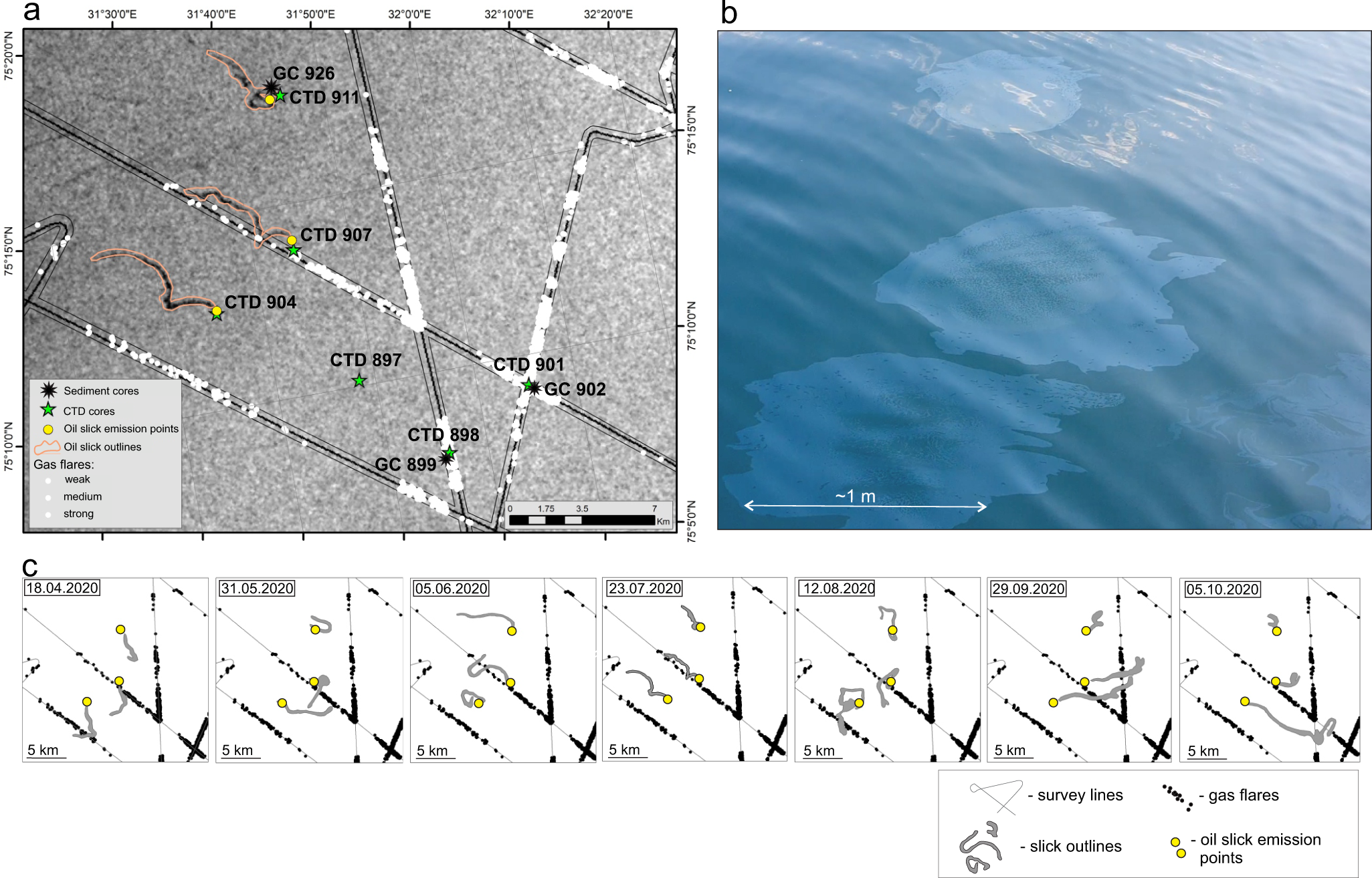 Fig. 5: Indications of methane gas and oil in sea water.