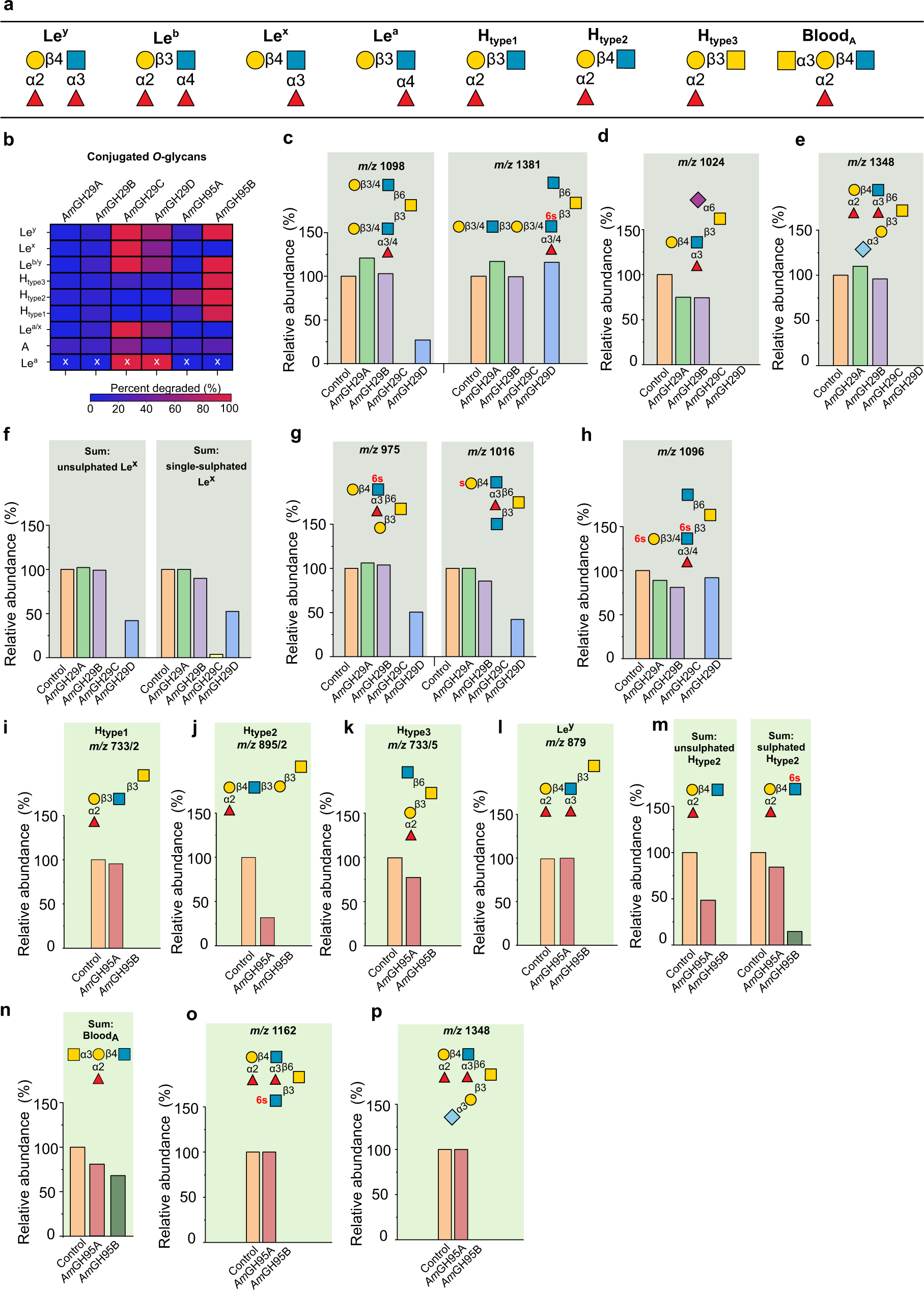 Fig. 1: Activity profiles of the A. muciniphila fucosidases on mucin O-glycans.