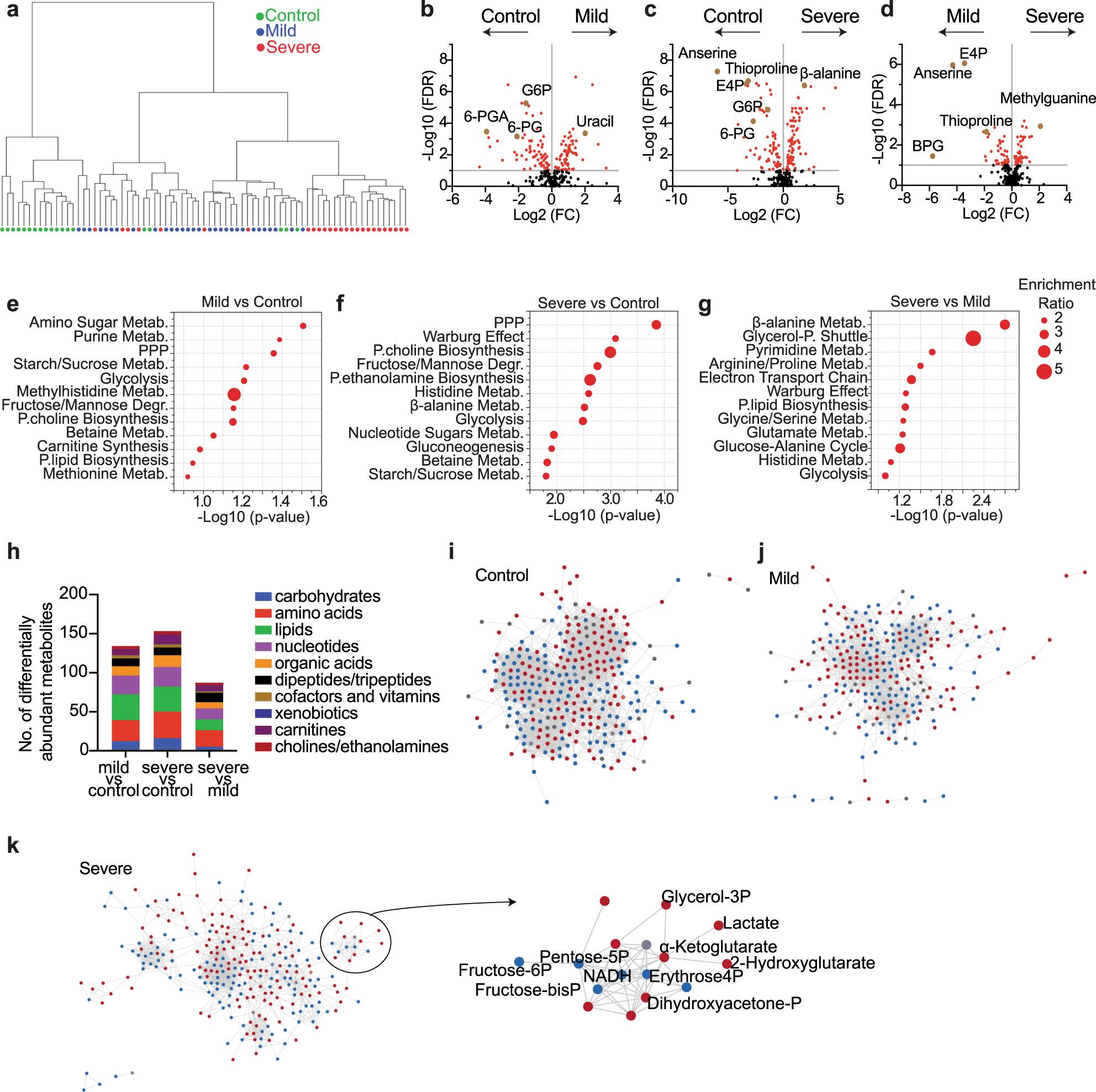 Fig. 1: Changes in the neutrophil metabolome in severe or mild patients with COVID-19 and healthy controls.