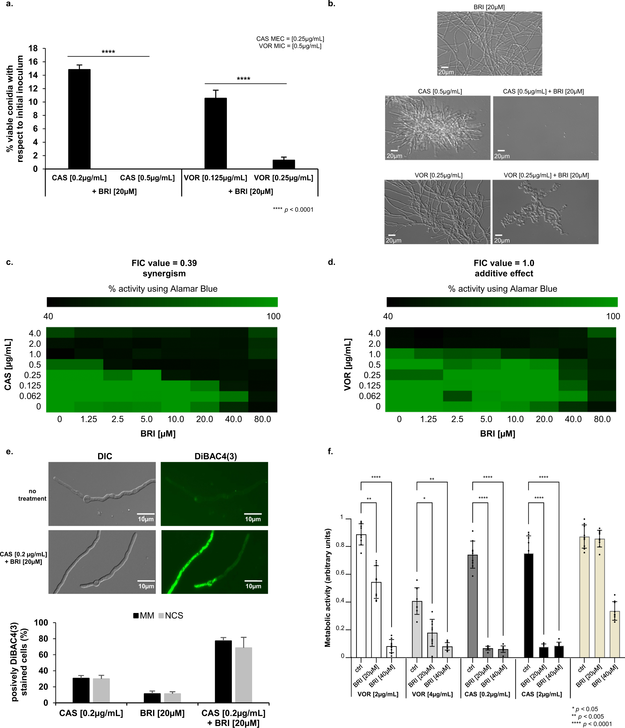 Fig. 2: BRI+CAS have synergism against A. fumigatus.