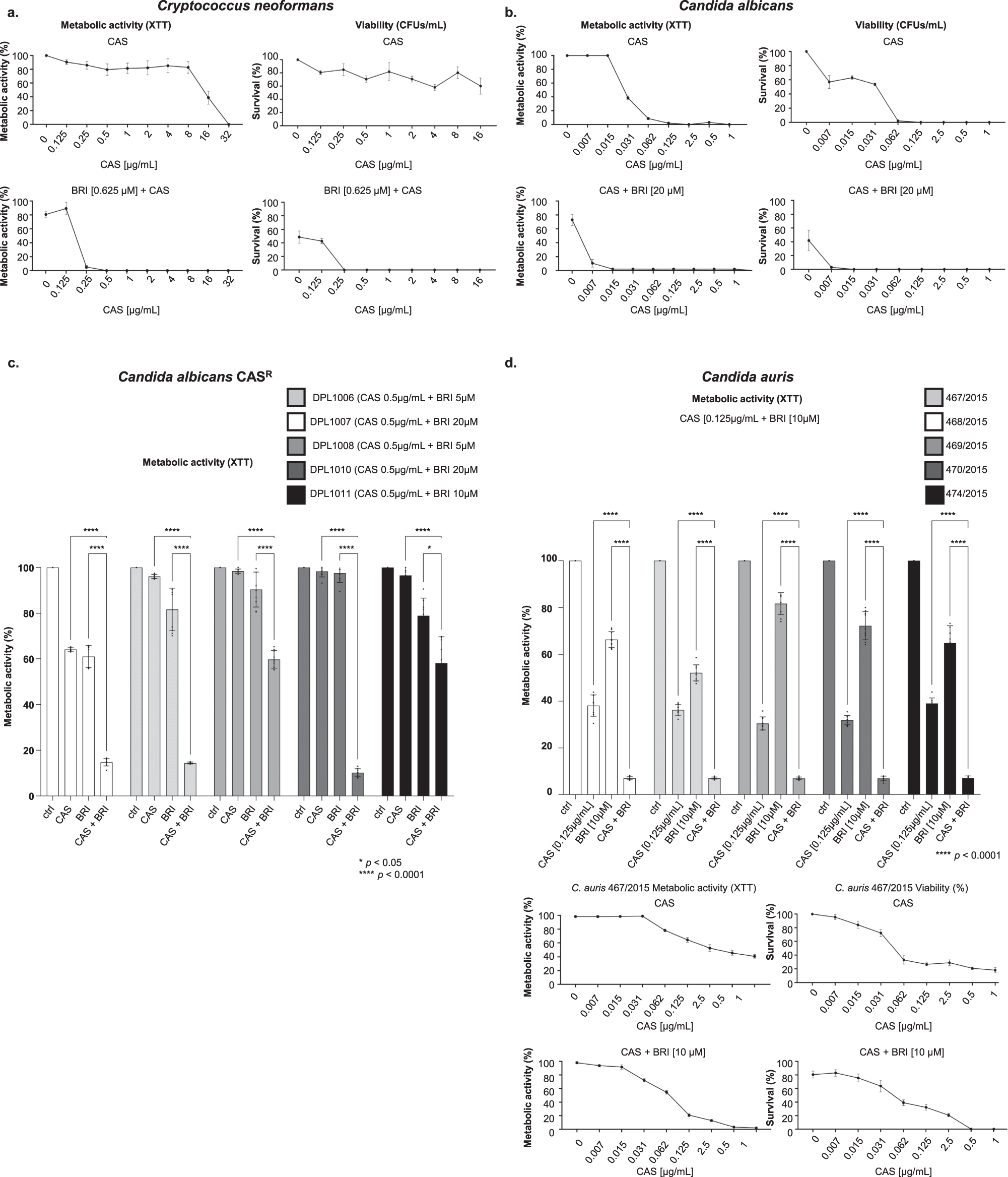 Fig. 5: BRI can synergize CAS in other human fungal pathogens.