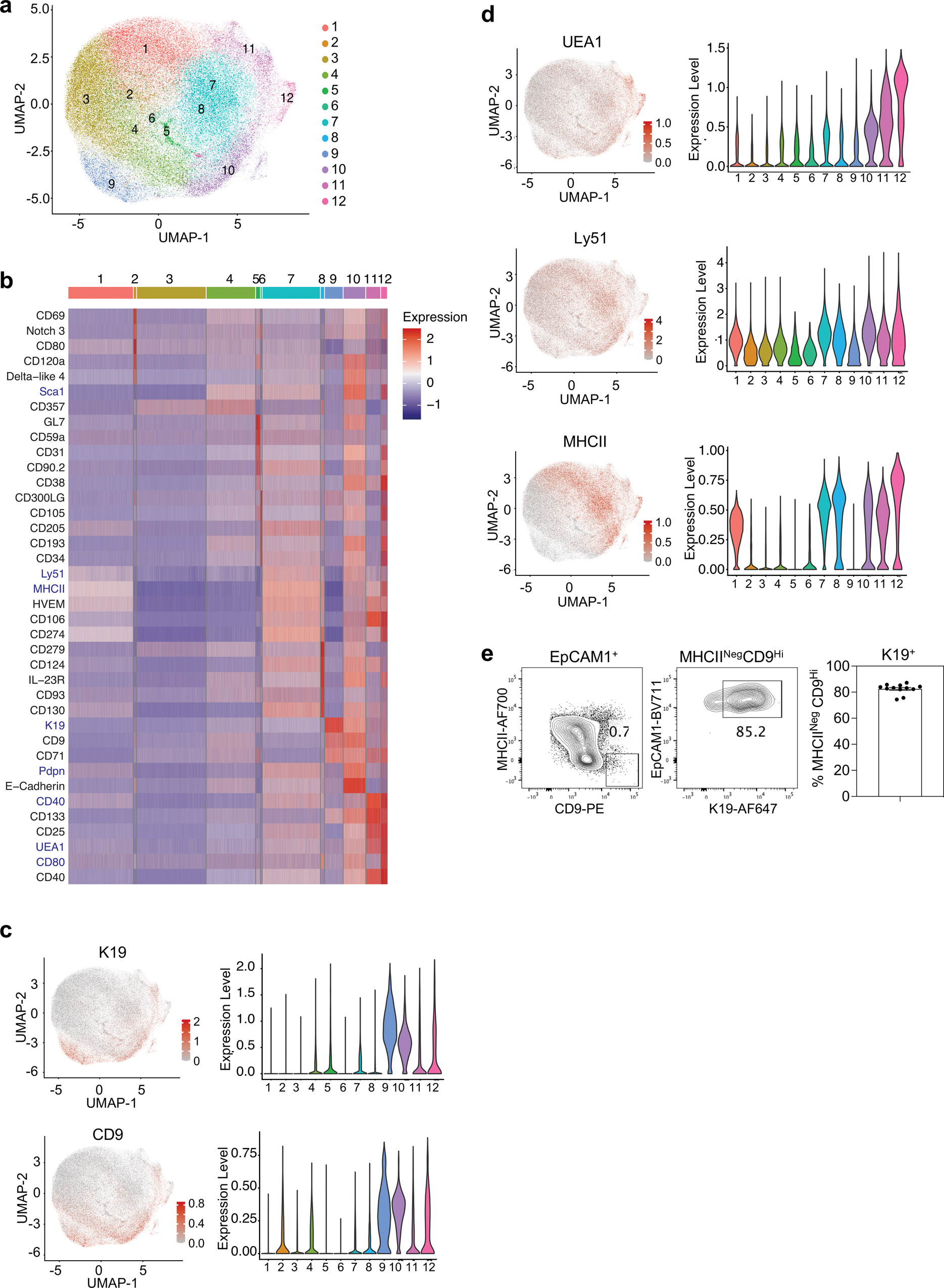 Fig. 9: CD9 expression defines mmTECp in wild-type mice.