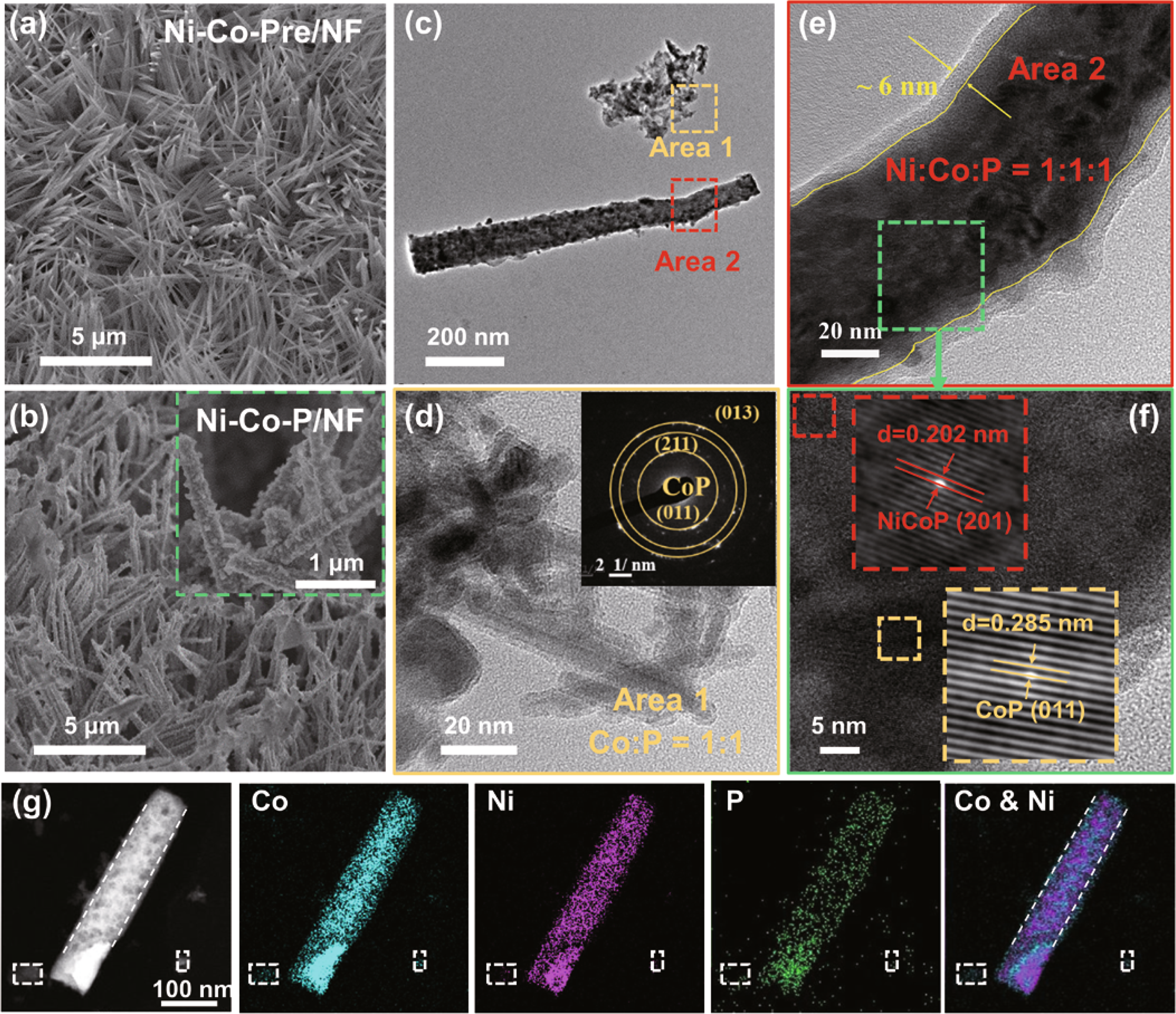 Fig. 1: Morphological characterizations of Ni-Co-P/NF and reference samples.