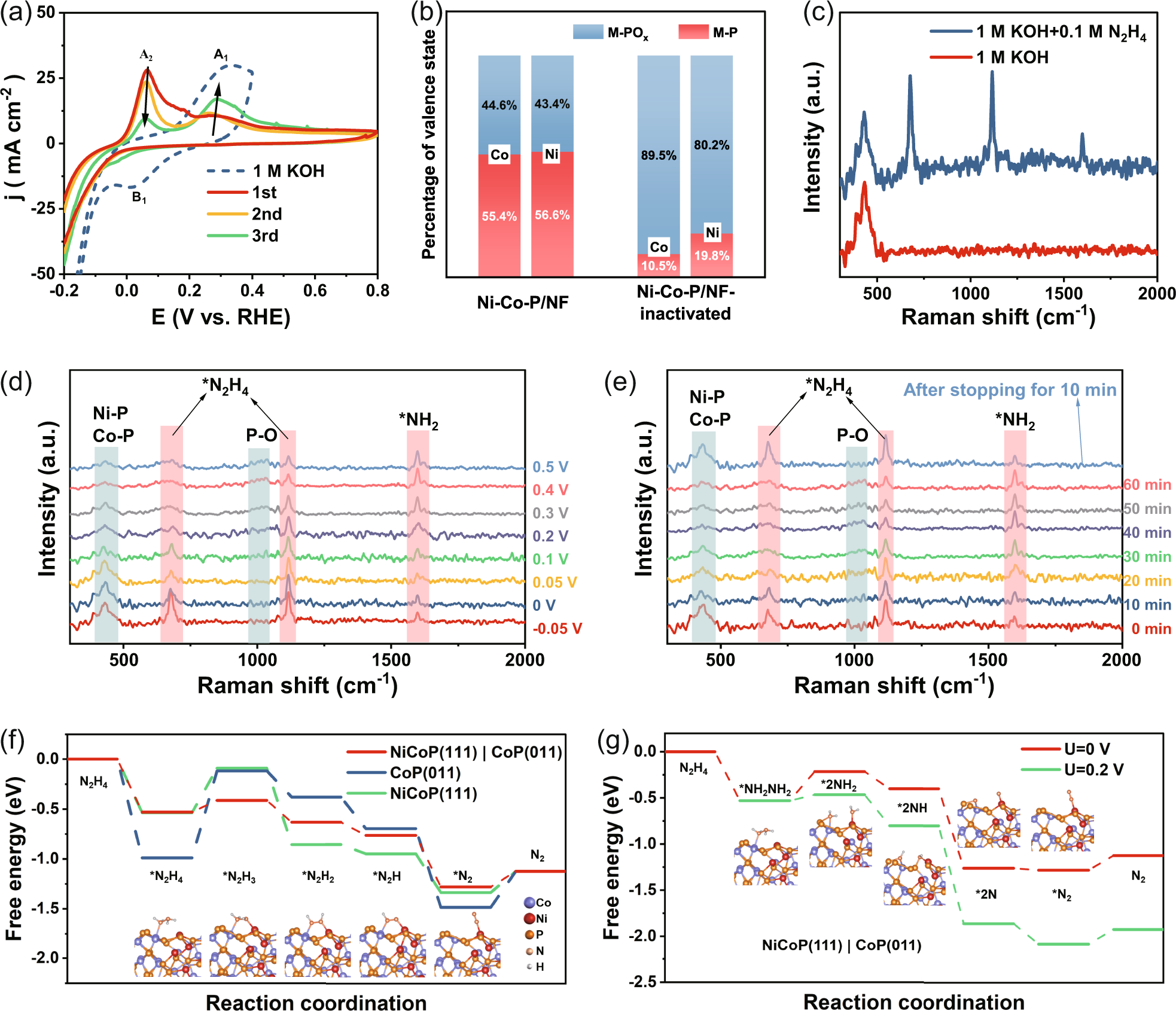 Fig. 5: Catalytic mechanism of HzOR and the catalyst’s evolution during catalysis.