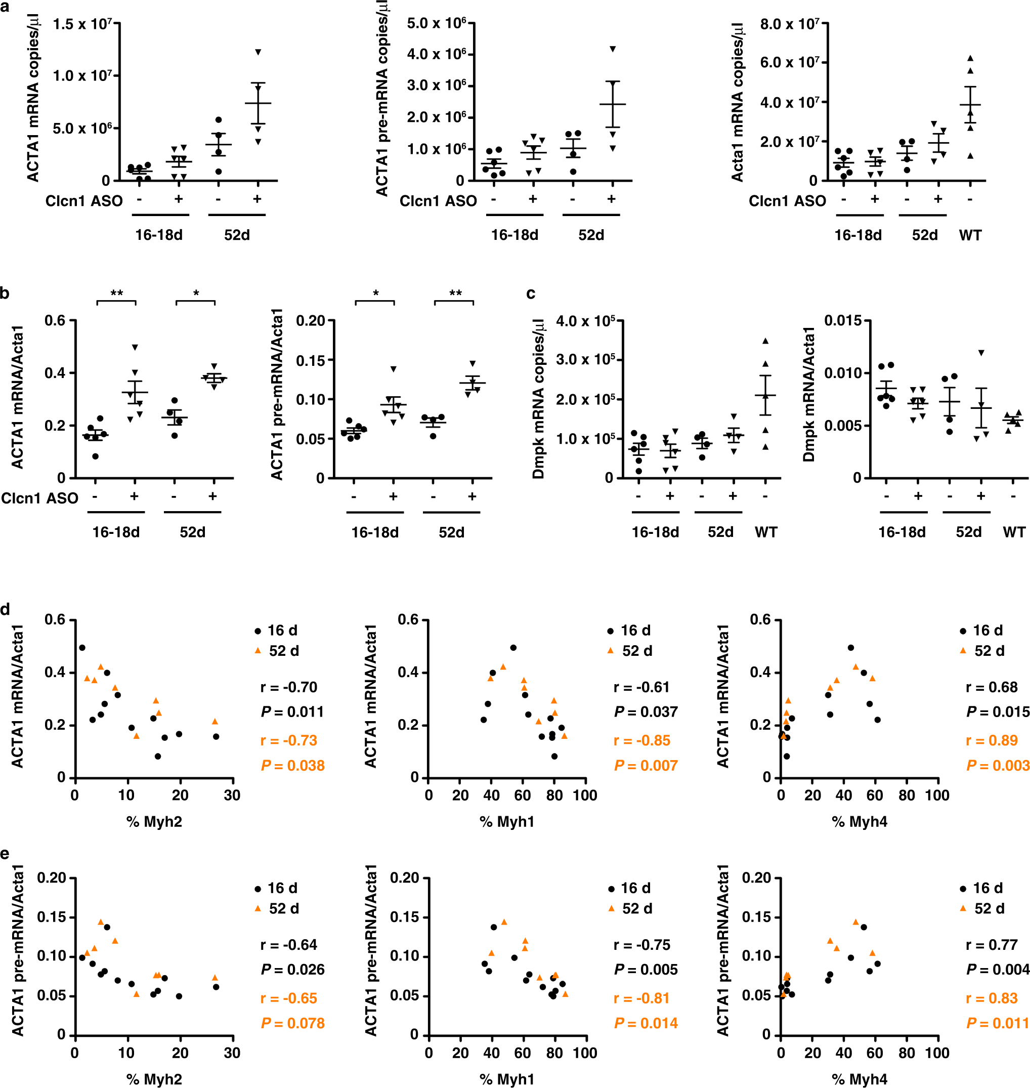 Fig. 8: Relationship of ACTA1-CUGexp transgene and myosin gene expression in treated muscles.