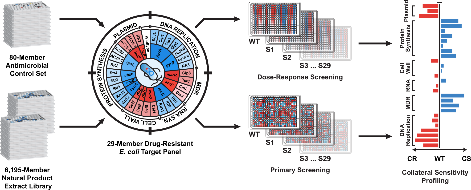 Fig. 1: Schematic diagram of collateral sensitivity profiling (CSP).