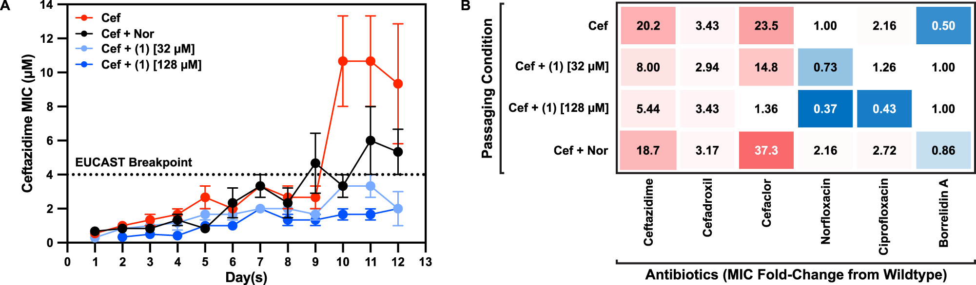 Fig. 5: Sublethal doses of borrelidin A slow the emergence of cephalosporin resistance in wildtype E. coli.