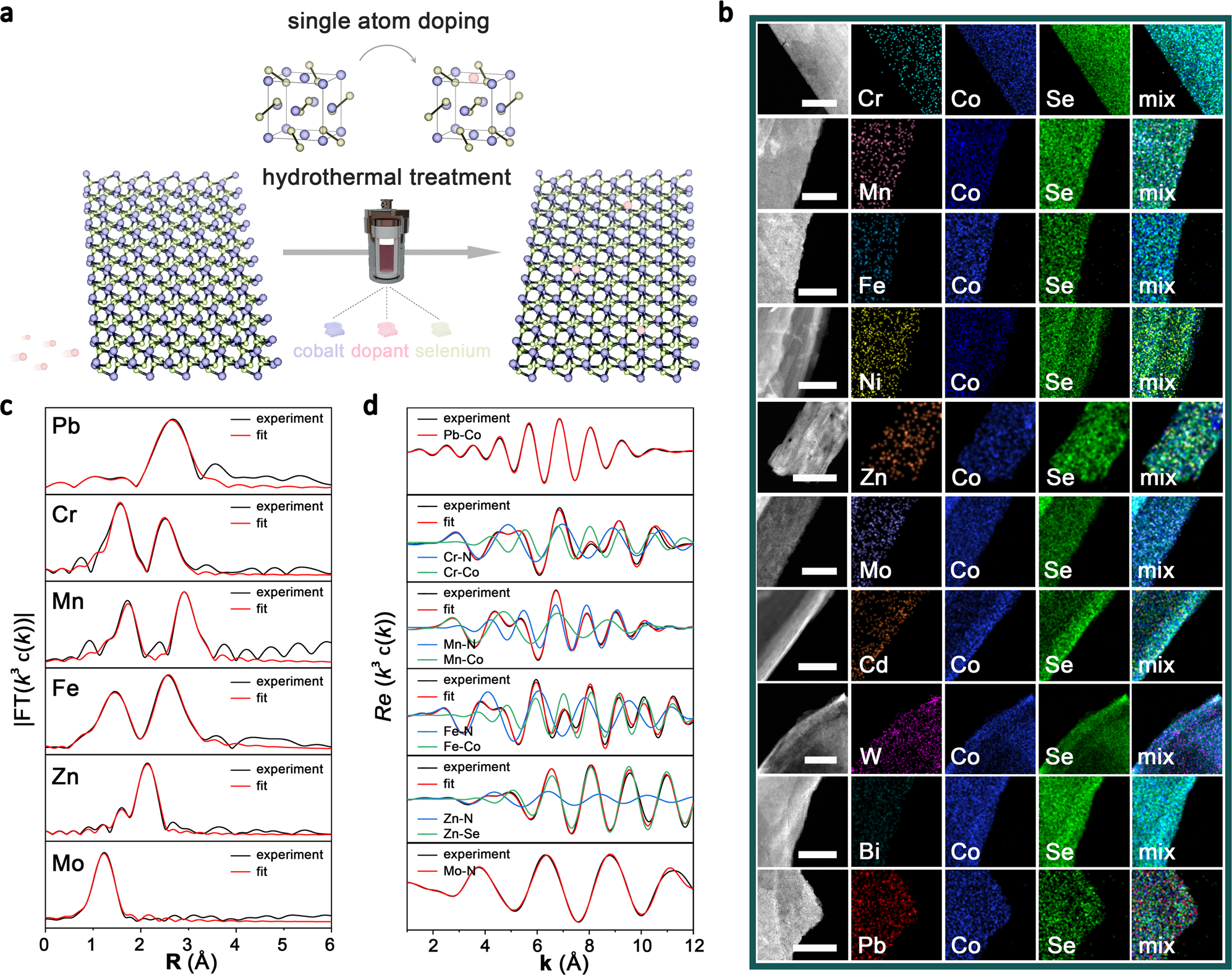 Fig. 2: Synthesis and structural analysis.