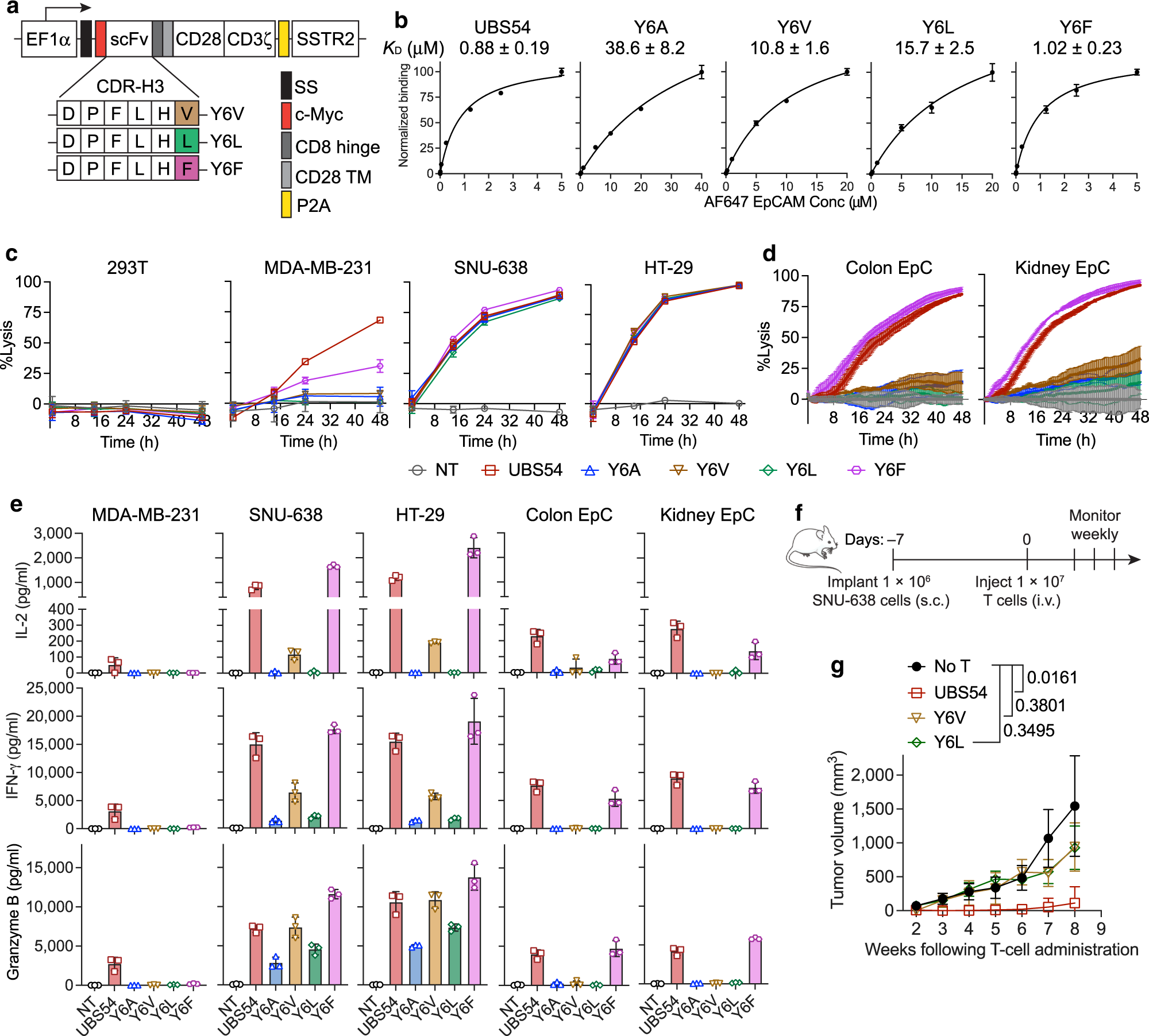 Fig. 2: Activity of Y6X CAR-T cell variants.