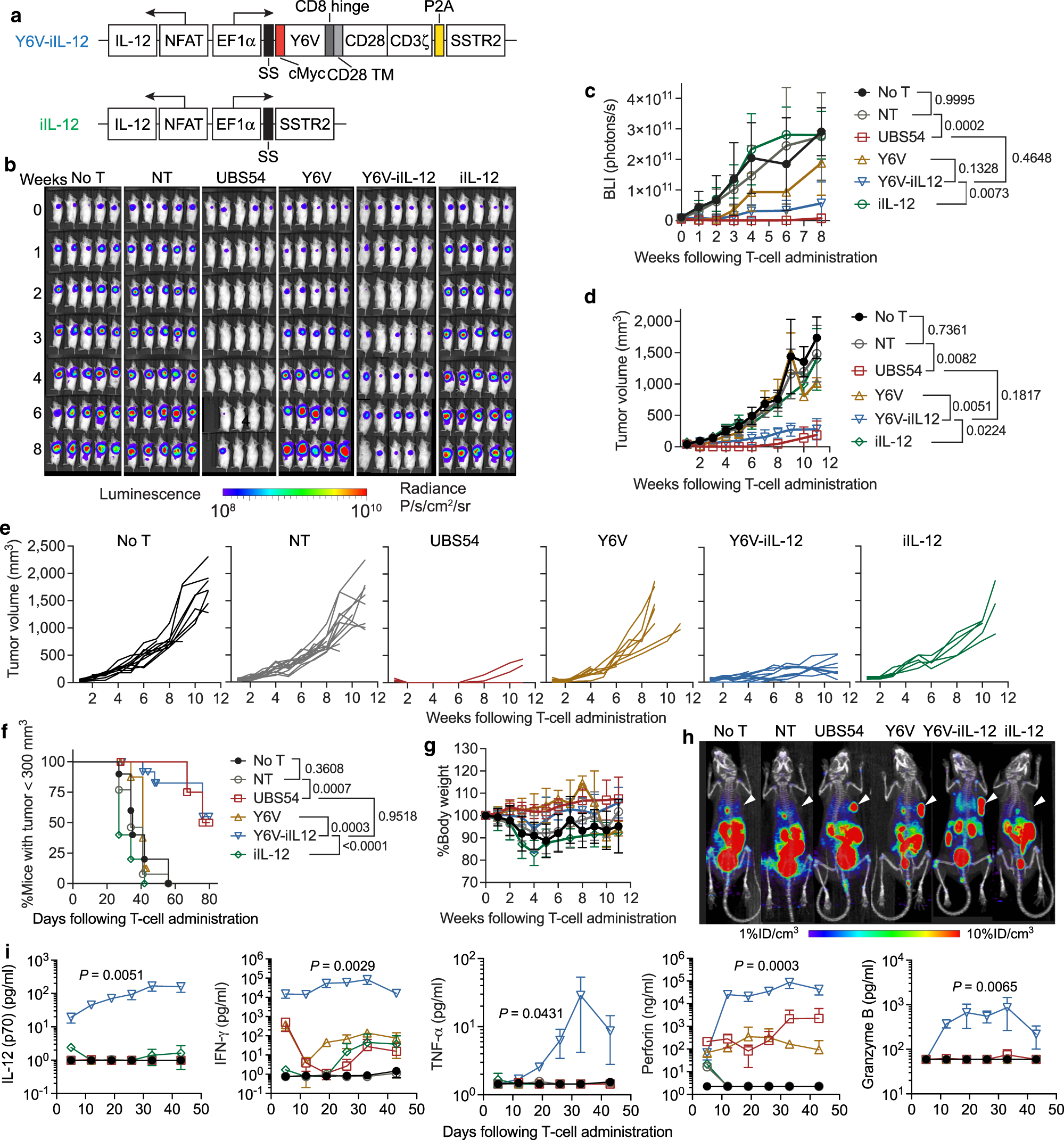Fig. 3: Inducible IL-12 expression increases the activity of affinity-tuned Y6V CAR-T cells against GC.