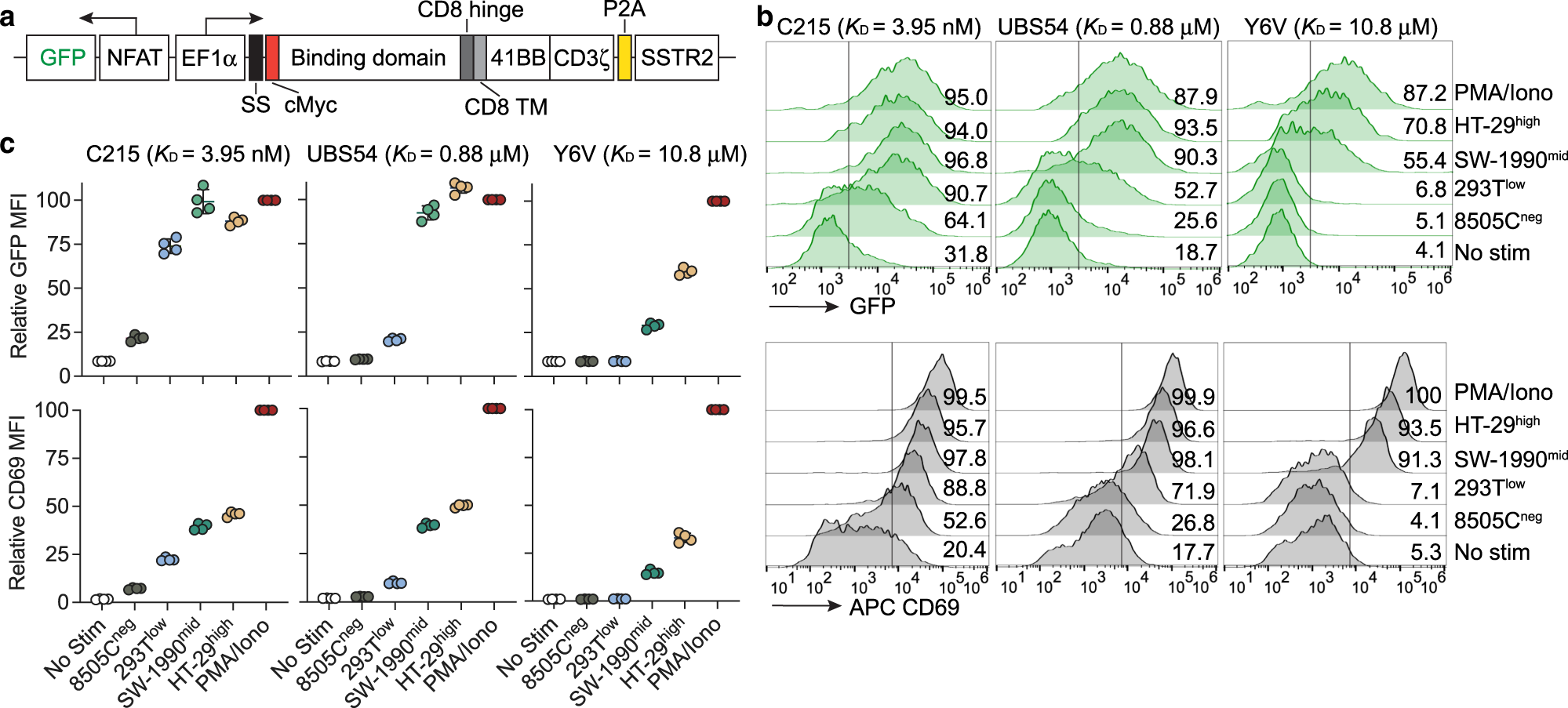 Fig. 5: CAR affinity and tumor antigen density regulate the degree of NFAT activation.
