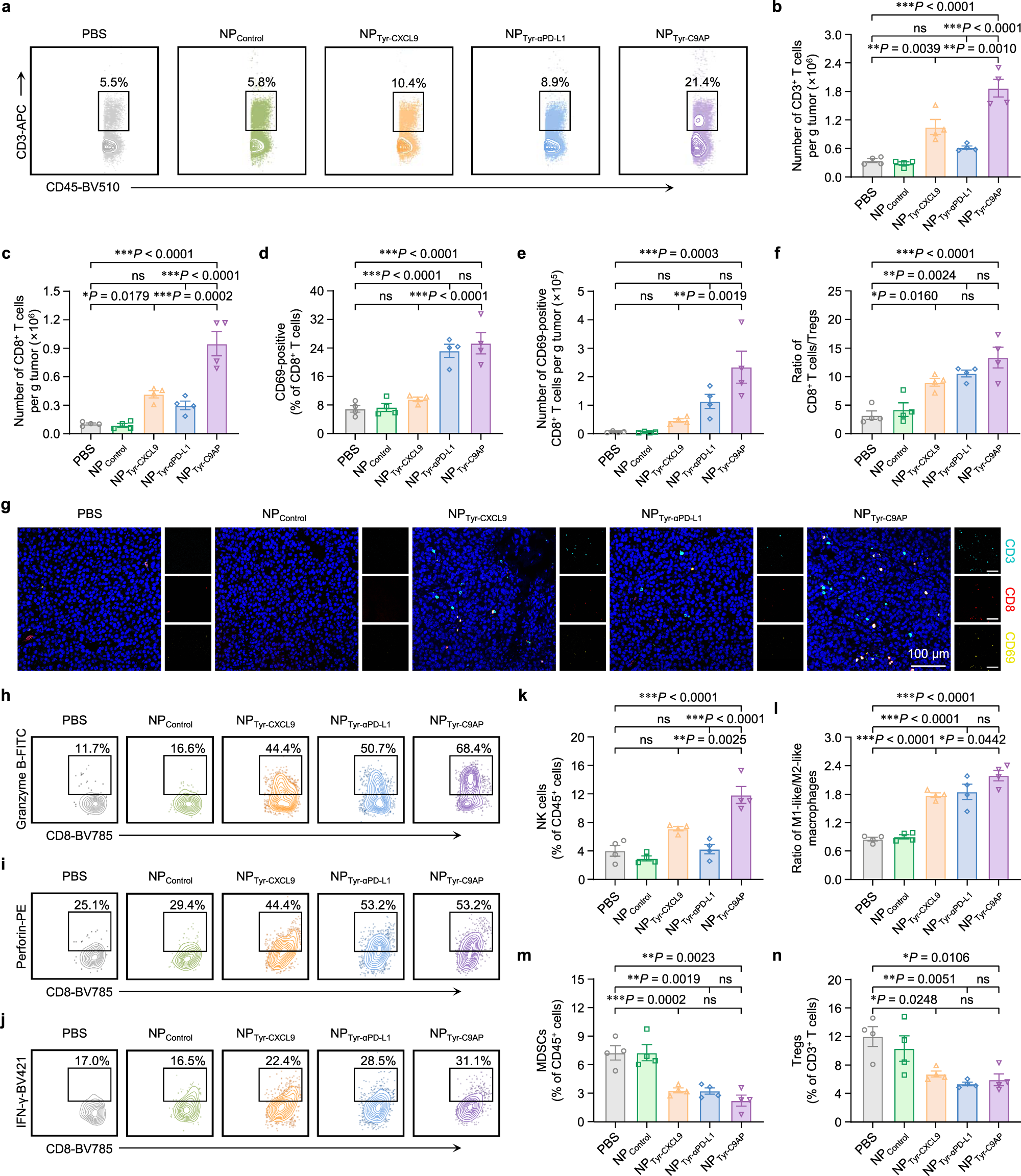 Fig. 5: Profiling of the improved intratumoral infiltration and activation of T cells after NPTyr-C9AP treatment.