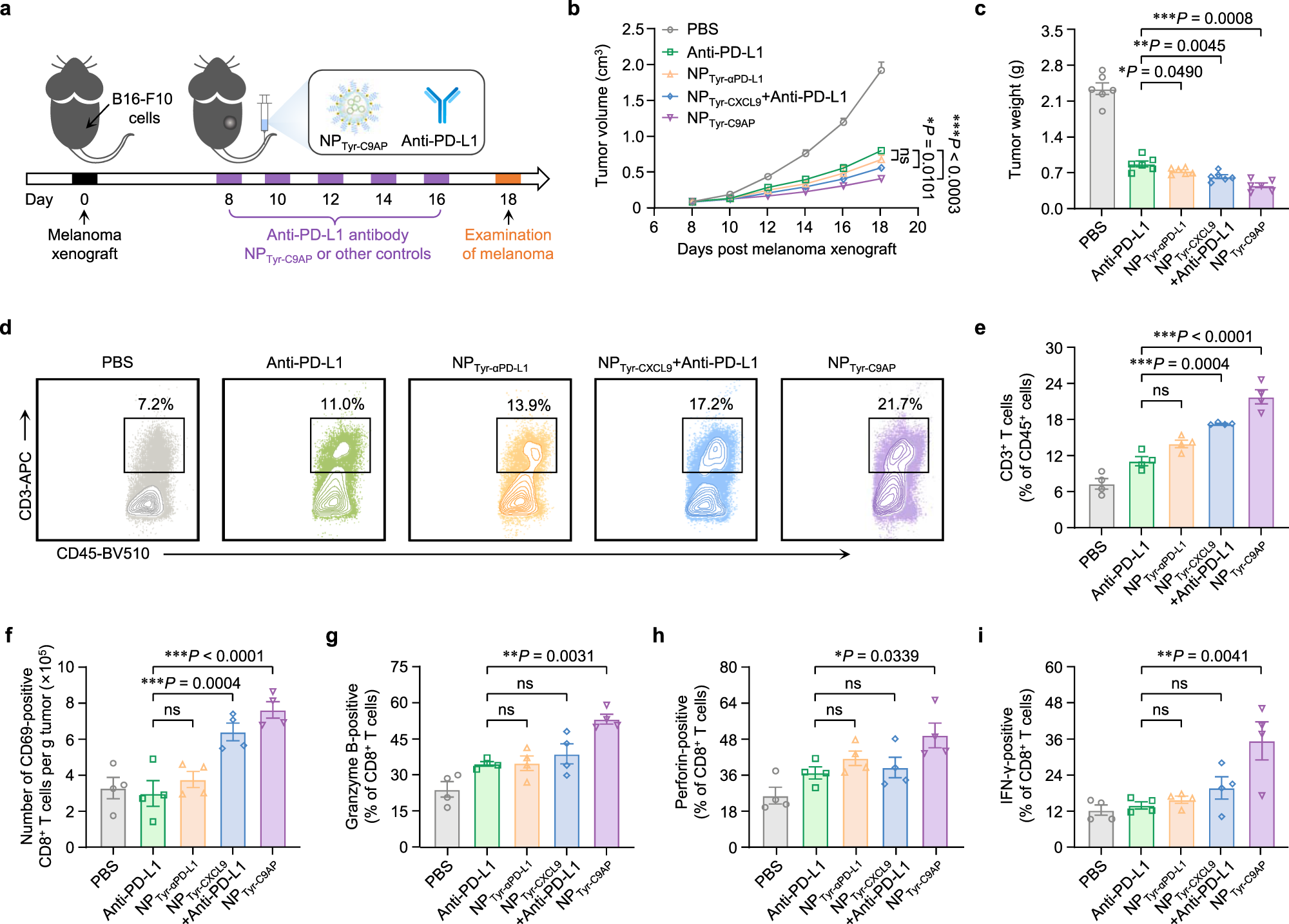Fig. 6: NPTyr-C9AP exhibits superior efficacy to systemically injected anti-PD-L1 antibody.