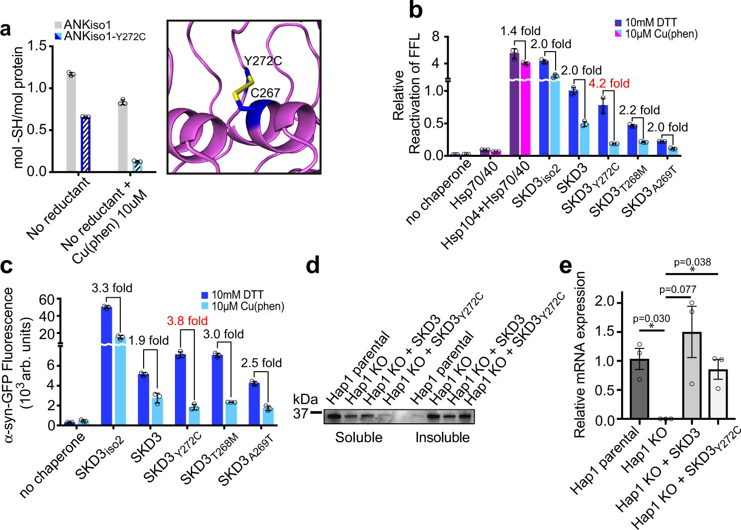Fig. 4: SKD3 is an oxidation-sensitive protein disaggregase.