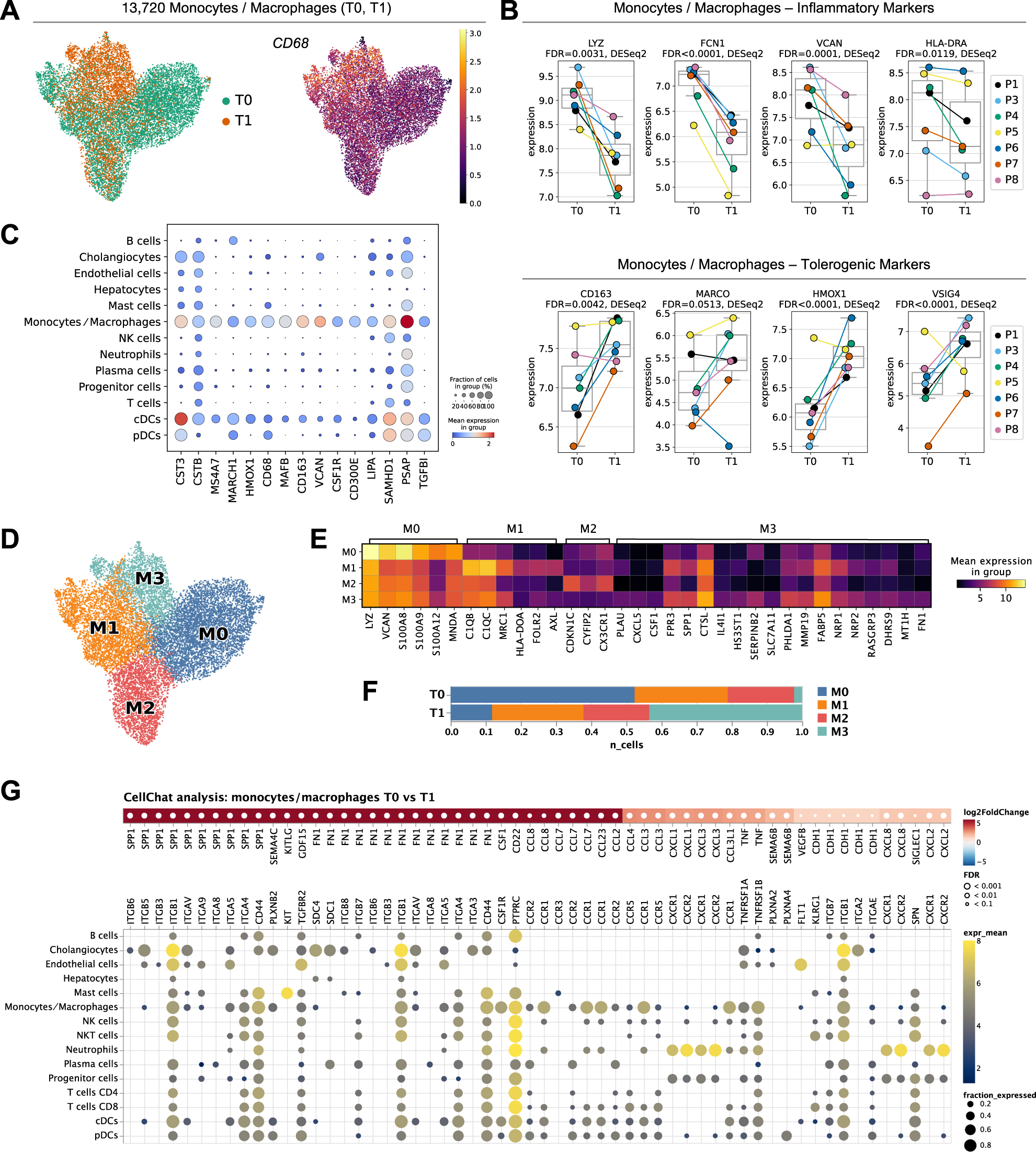 Fig. 6: Impact of NMP on monocytes/macrophages.
