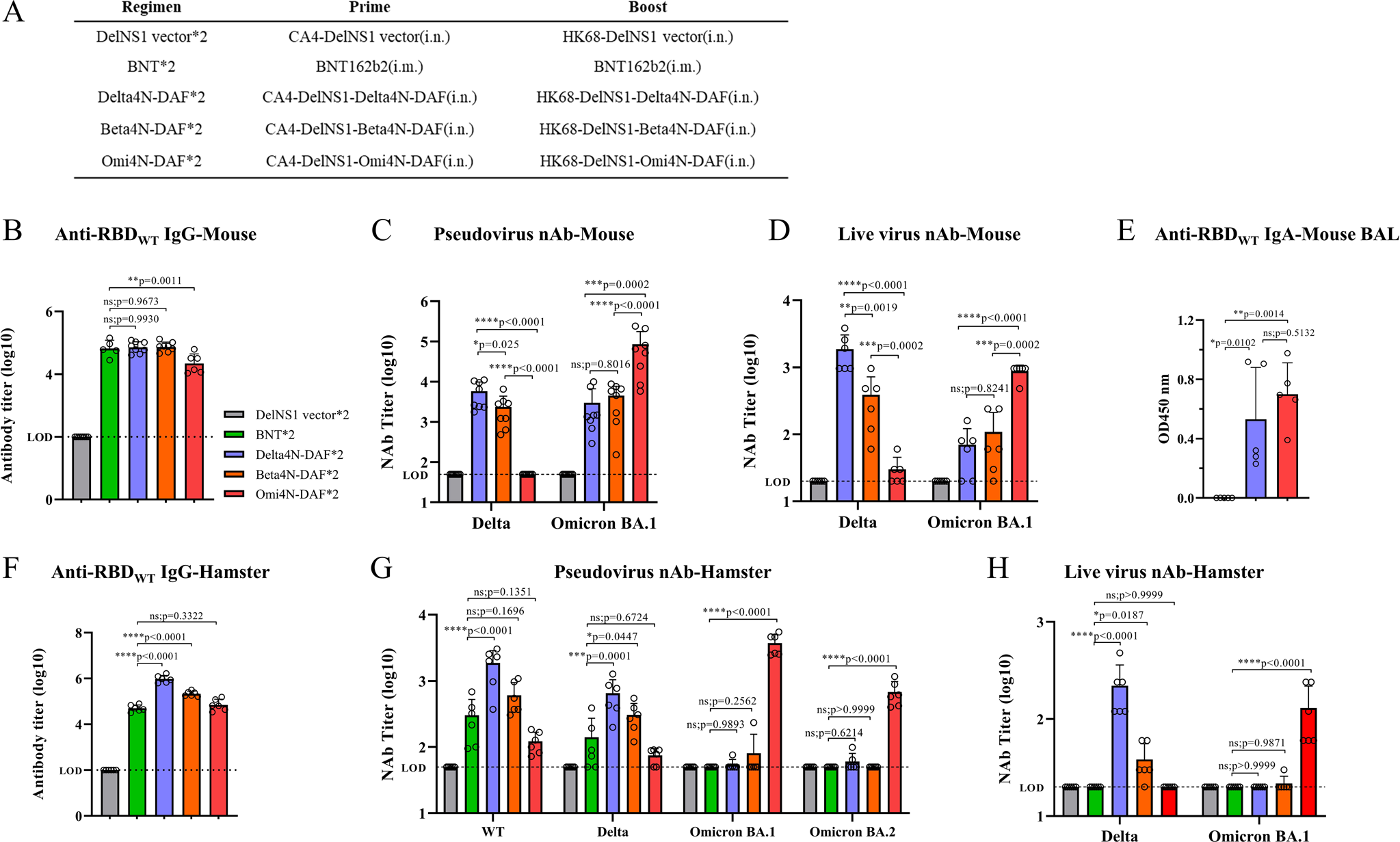 Fig. 2: Immunogenicity of DelNS1-RBD4N-DAF LAIVs in mice and hamsters.