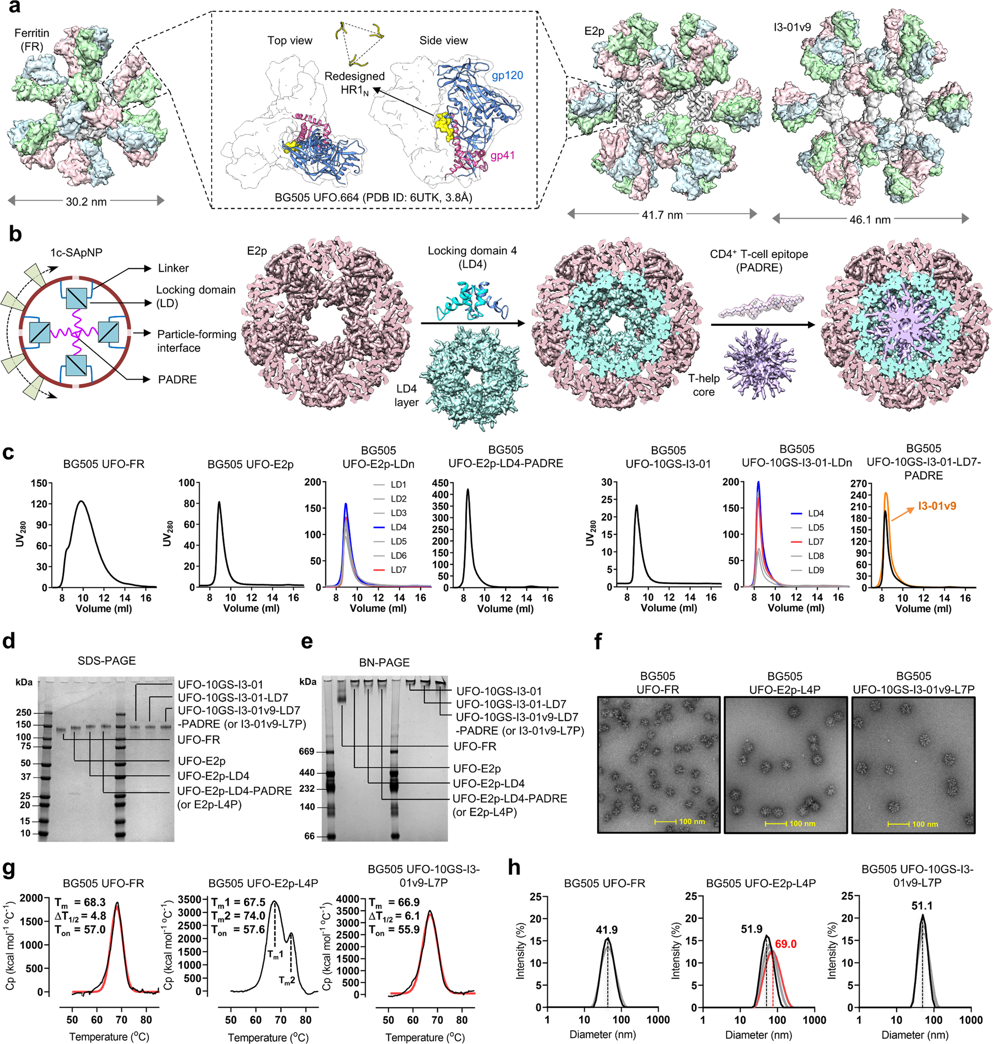 Single-component multilayered self-assembling protein nanoparticles  presenting glycan-trimmed uncleaved prefusion optimized envelope trimers as  HIV-1 vaccine candidates | Nature Communications