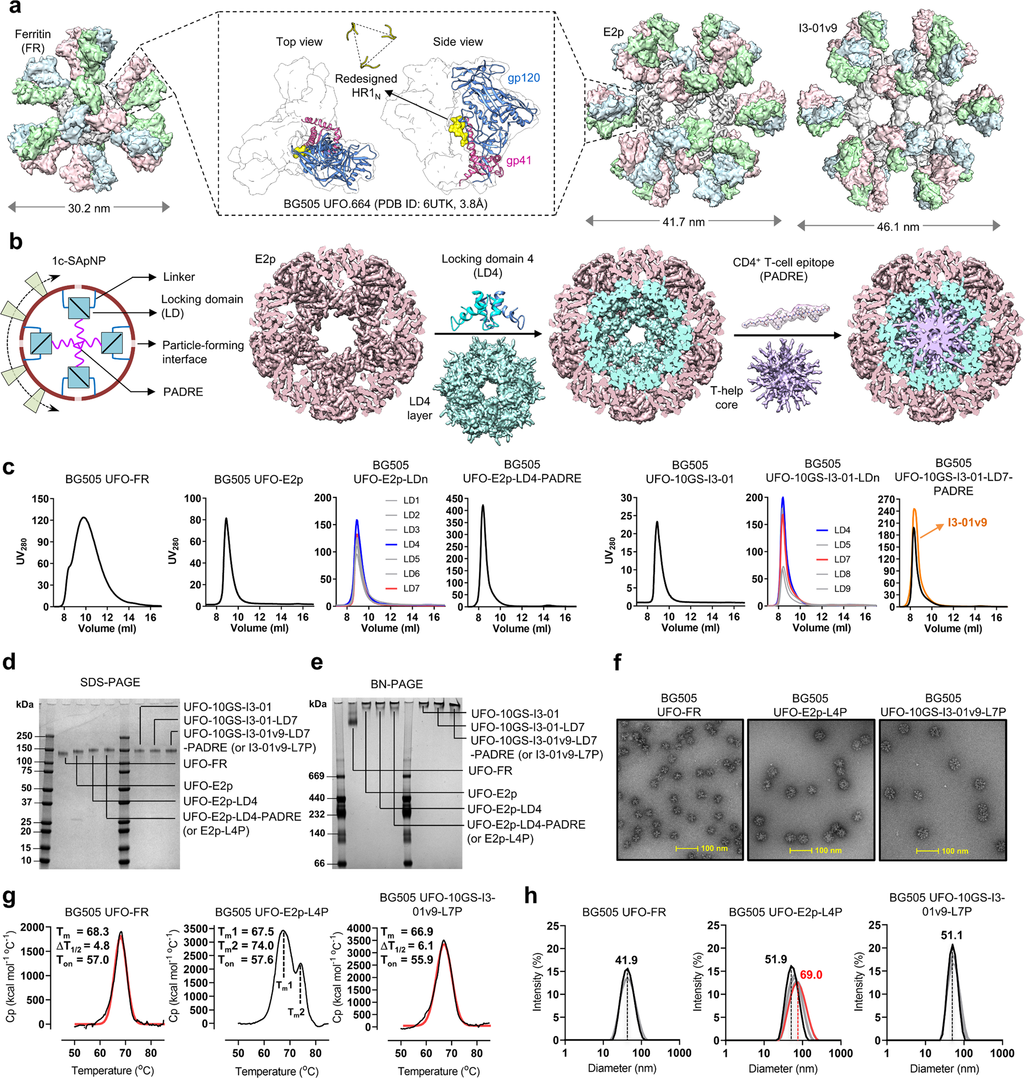 Rationally Designed Self-Assembling Nanovaccines Elicit Robust