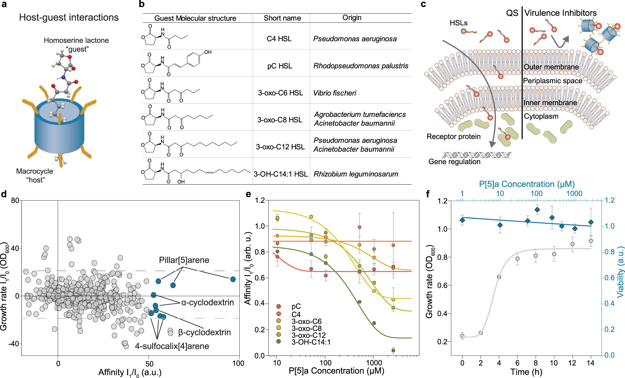 Fig. 1: Host-guest interactions between macrocycles and bacterial homoserine lactones selective for HSLs with prolonged acyl chains.