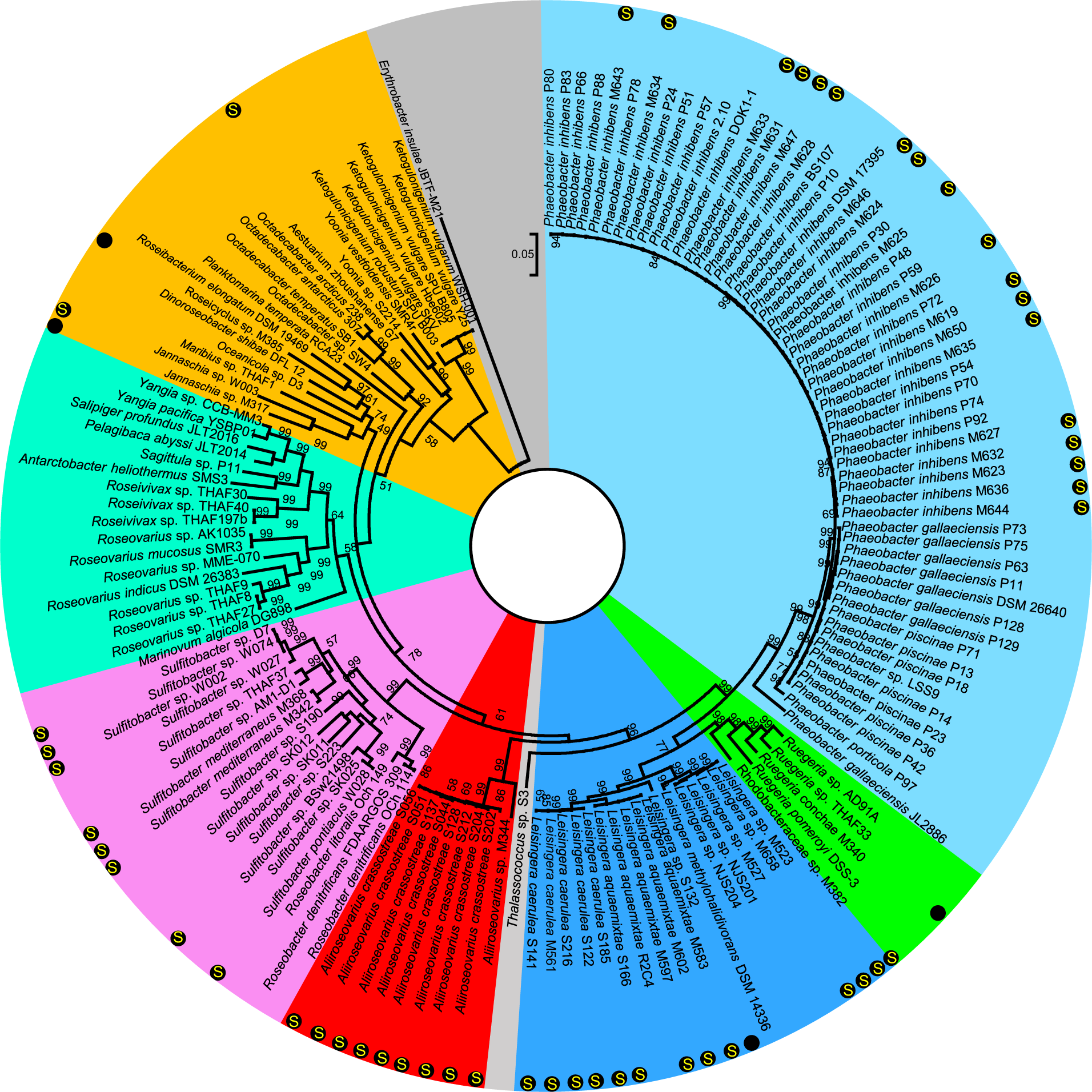 https://media.springernature.com/full/springer-static/image/art%3A10.1038%2Fs41467-023-37759-4/MediaObjects/41467_2023_37759_Fig1_HTML.png