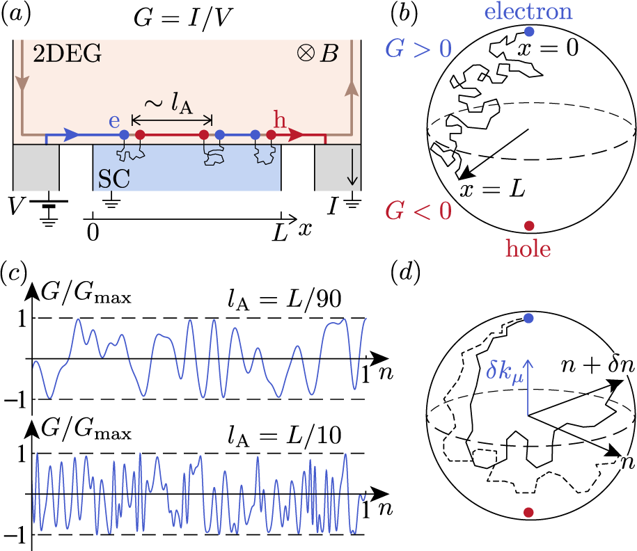 Fig. 1: Transport along the quantum Hall edge proximitized by a disordered superconductor.