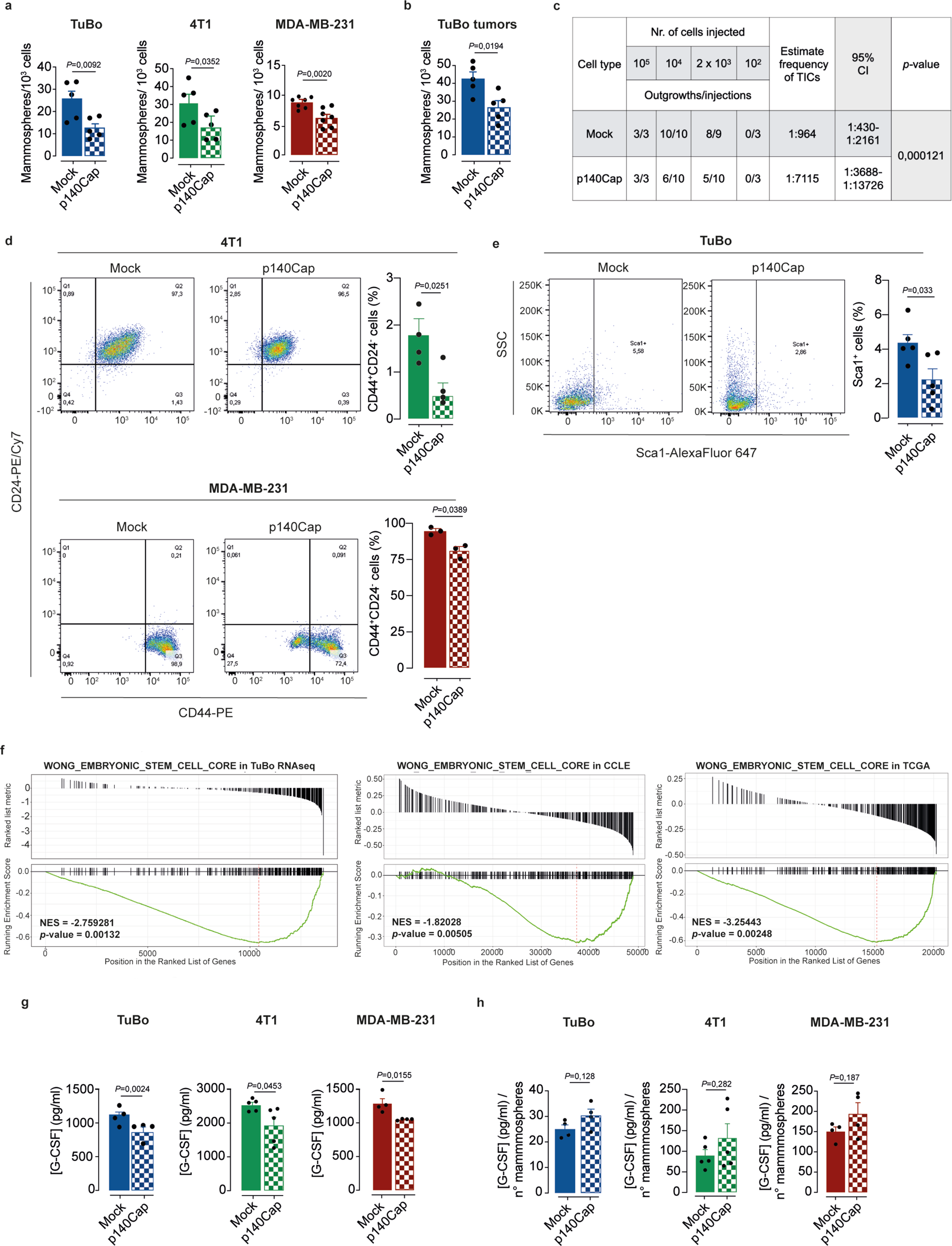 Fig. 5: p140Cap impairs the breast TICs compartment.