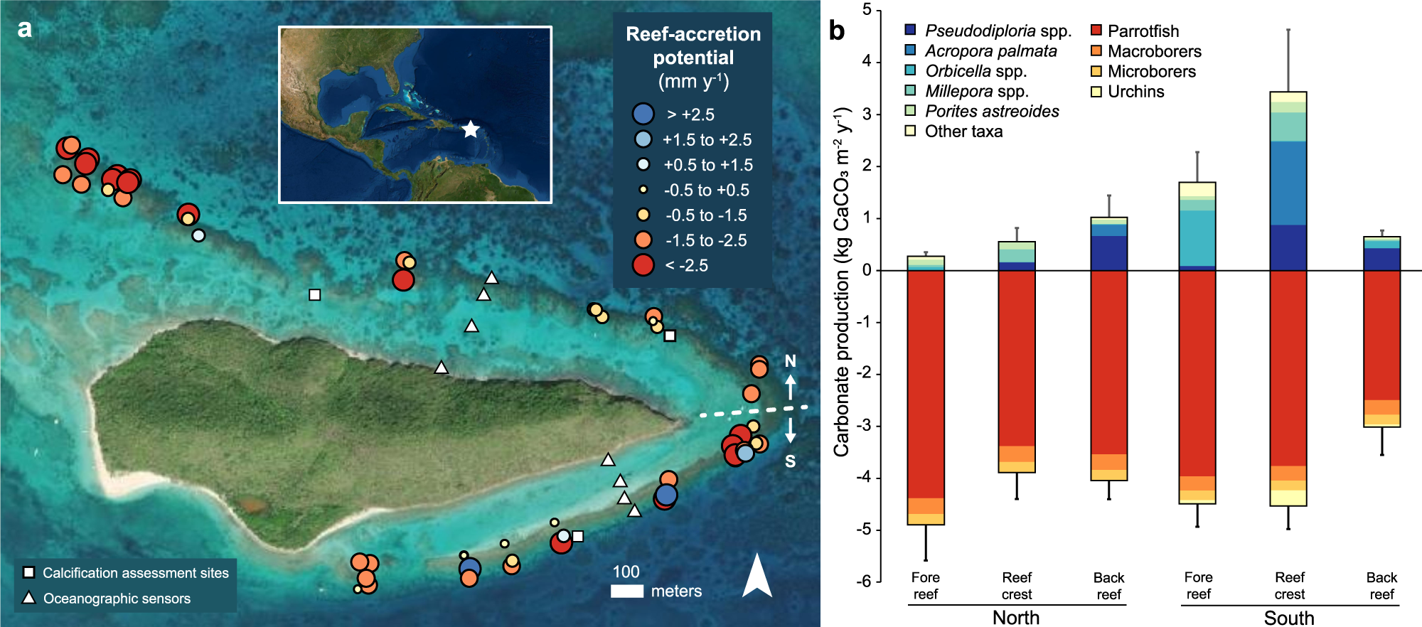 The potential for coral restoration to mitigate flooding as sea levels rise | Nature Communications