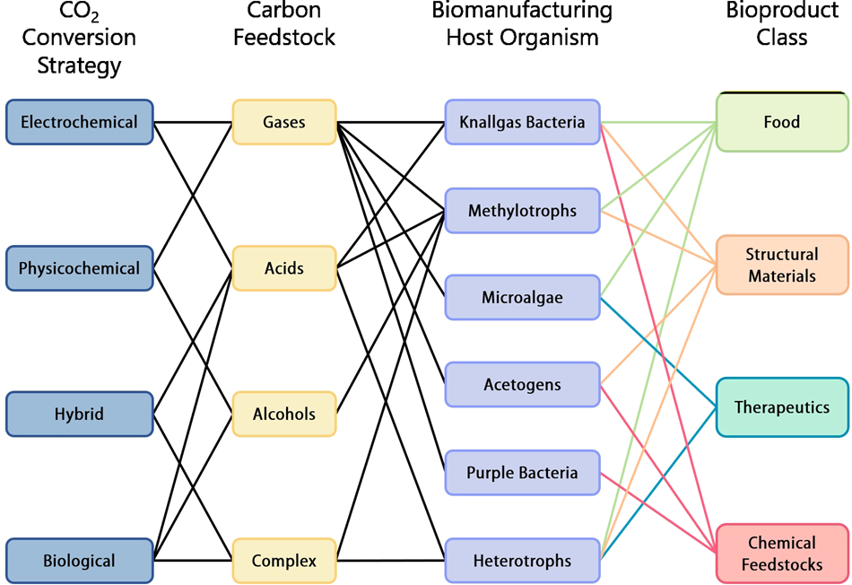 Fig. 3: Breakdown of available routes for bioproduction of inventory items from carbon dioxide—either as in situ or recovered resource.