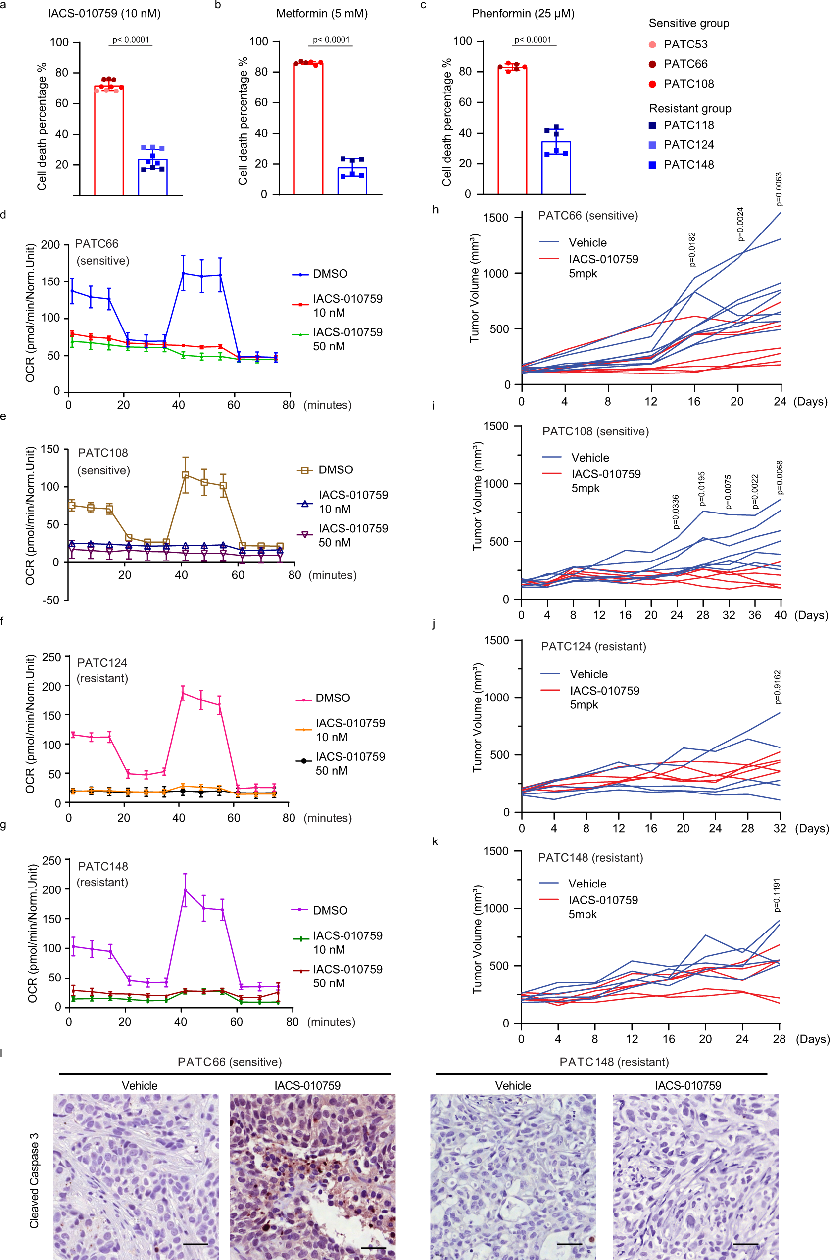 https://media.springernature.com/full/springer-static/image/art%3A10.1038%2Fs41467-023-37924-9/MediaObjects/41467_2023_37924_Fig1_HTML.png