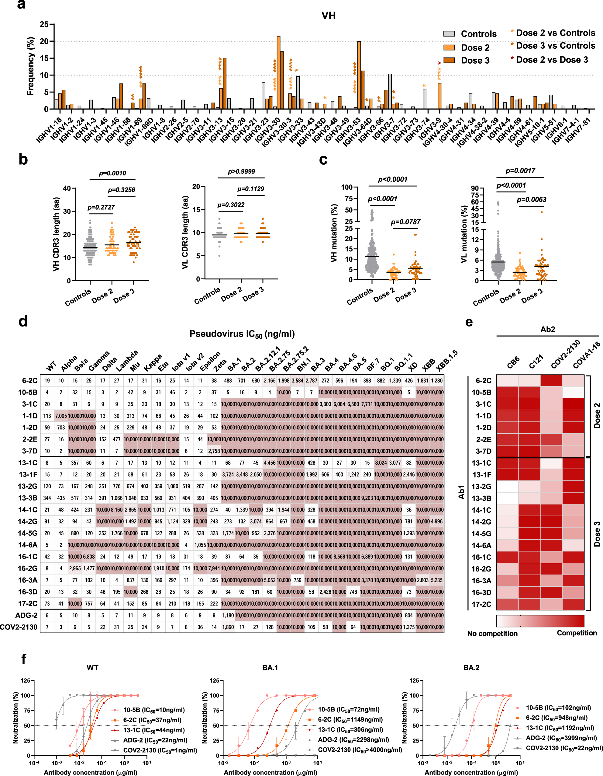 Fig. 2: Characterization of anti-SARS-CoV-2 RBD monoclonal antibodies from vaccinated individuals.