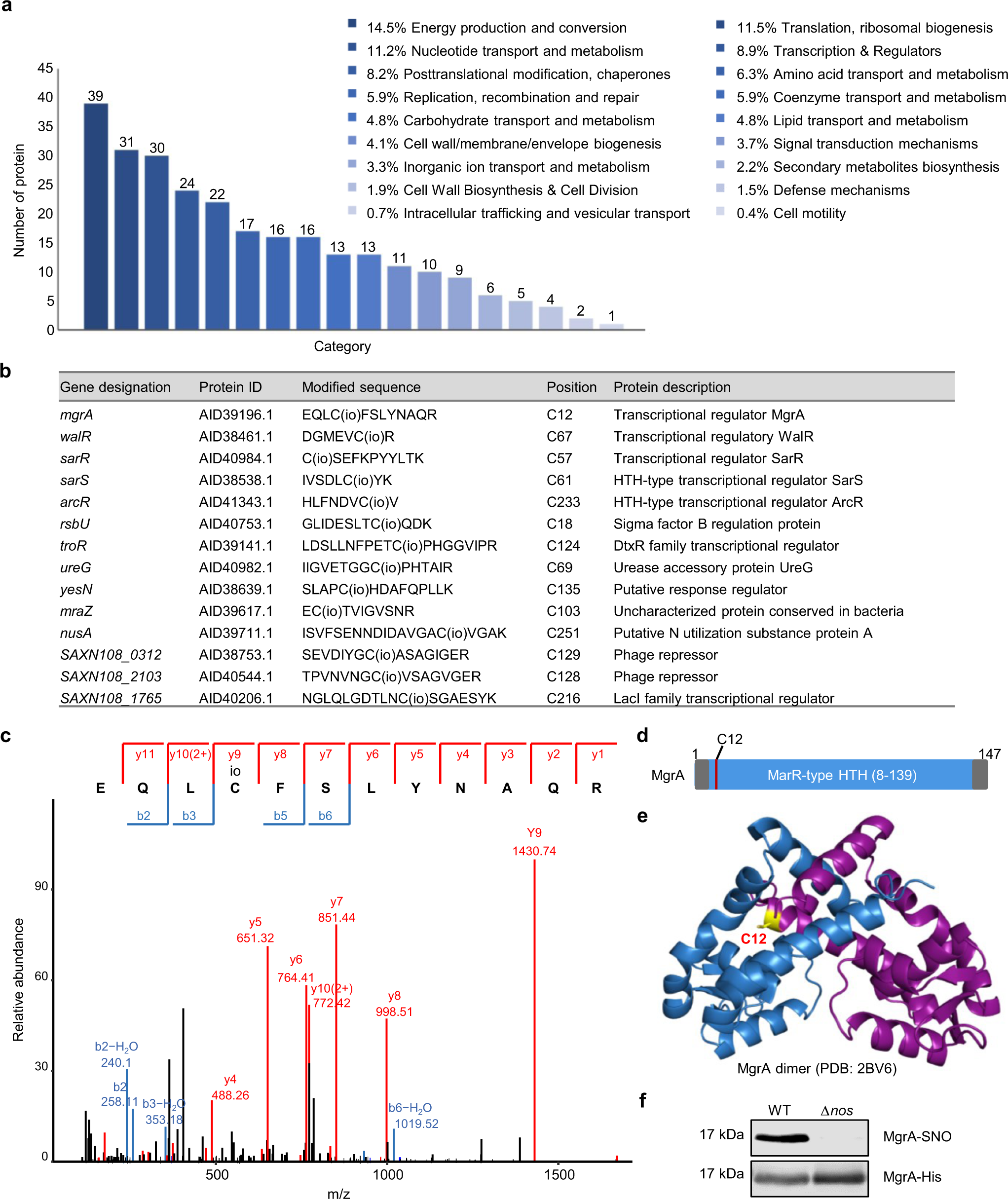 Staphylococcus aureus: A new mechanism involv