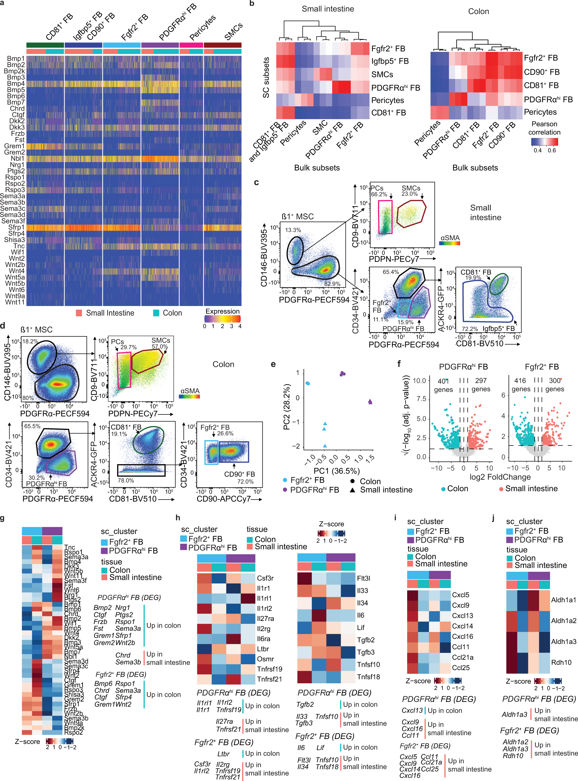 Fig. 2: Despite similar FB subset composition, small intestinal and colonic FB display regional transcriptional specialization.