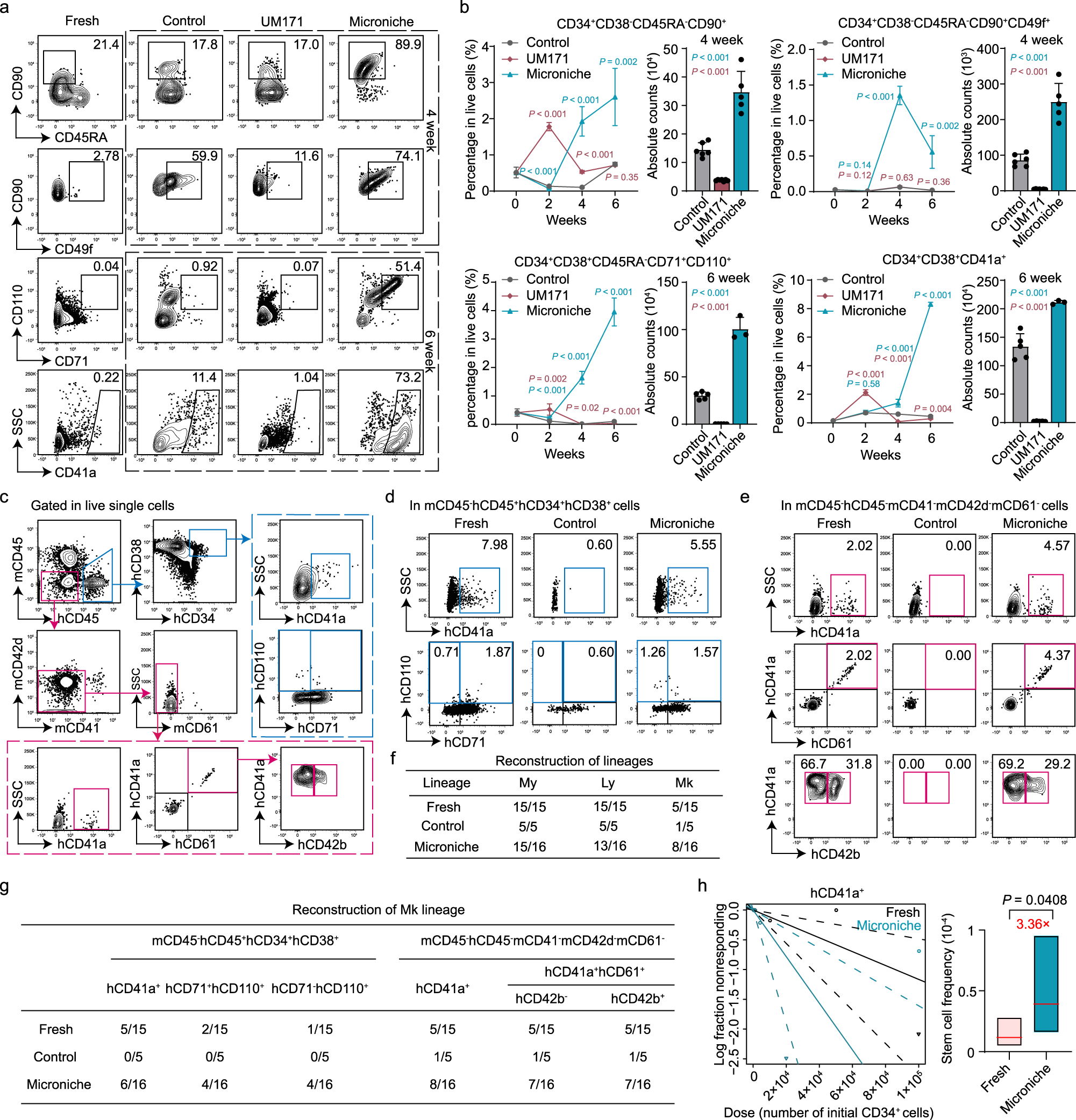 Fig. 2: Functional Mk-biased HSC expansion using the Microniche culture system in vitro and ex vivo.