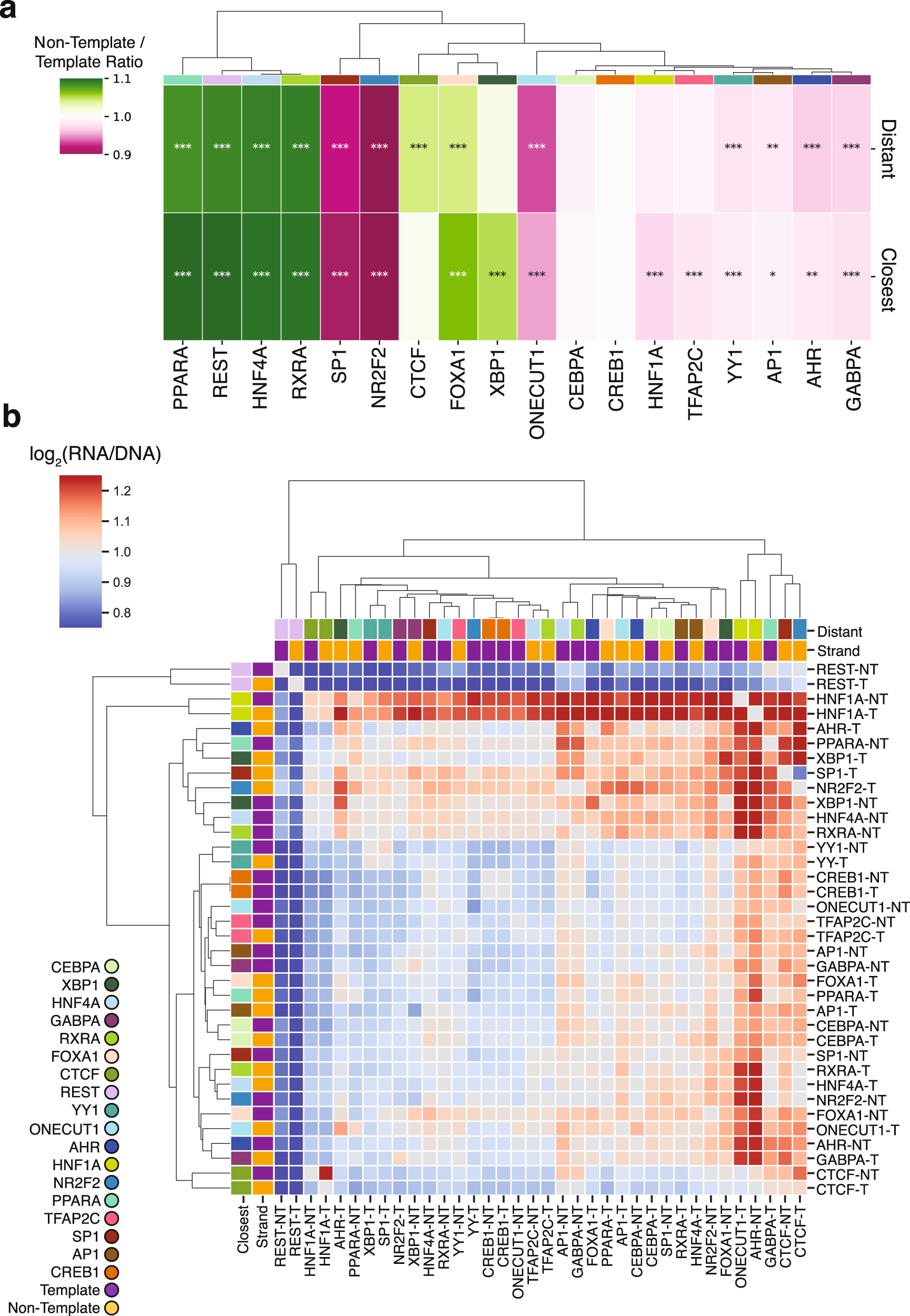Fig. 4: The orientation and order of heterotypic TFBSs impacts expression levels.
